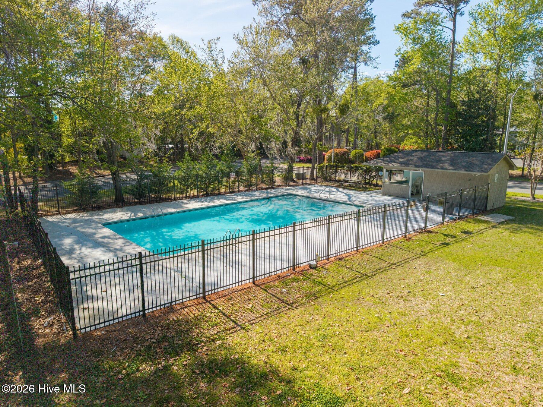 100564632 | Photo 23