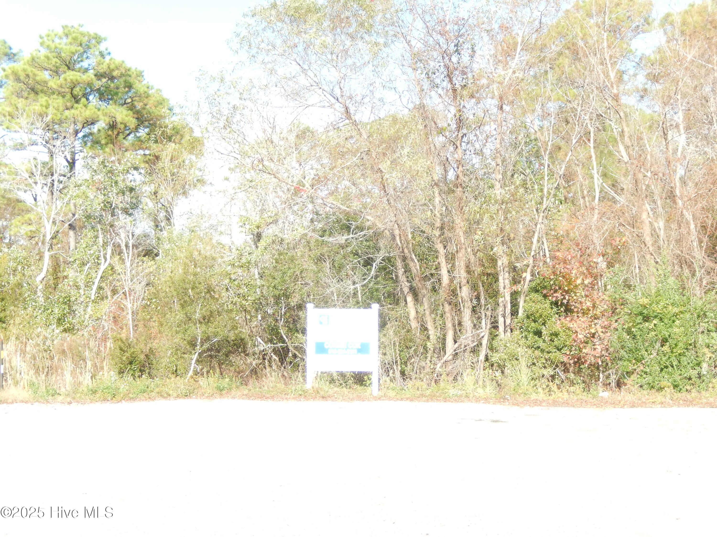 100479655 | Photo 28