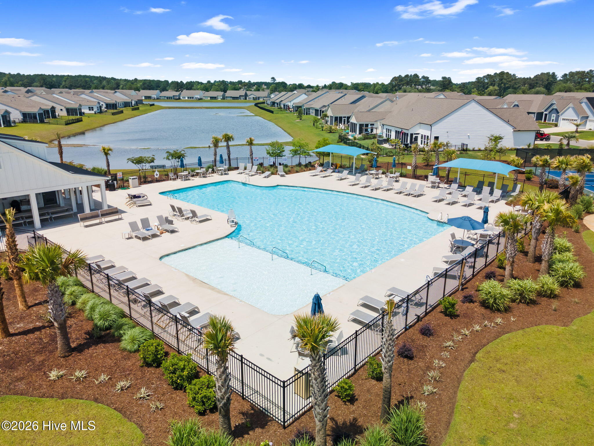 100555393 | Photo 53