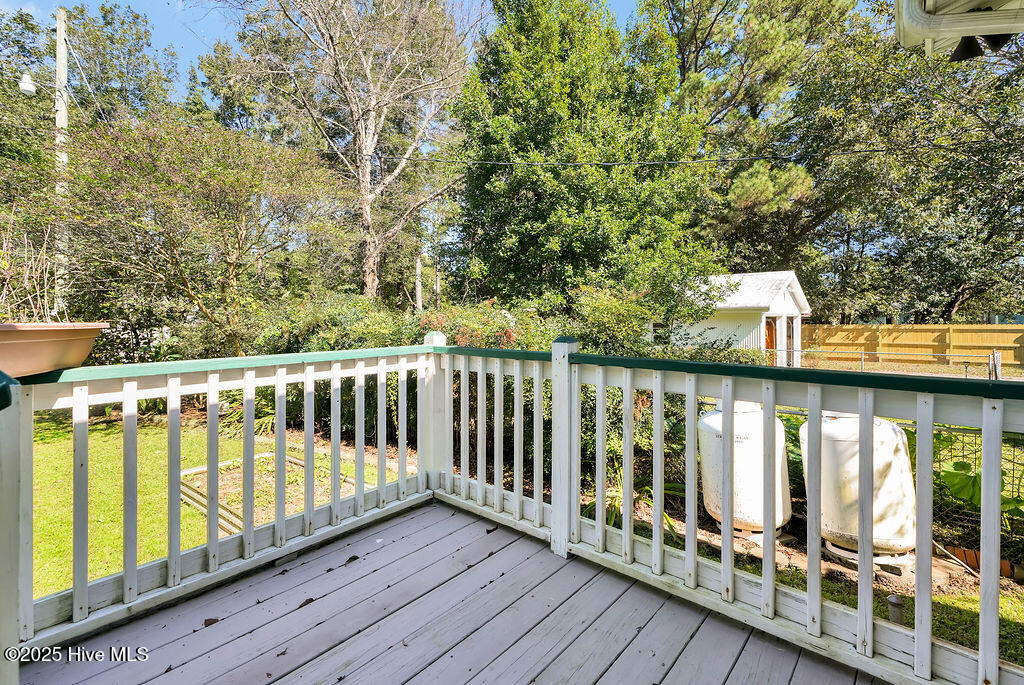 100538135 | Photo 35