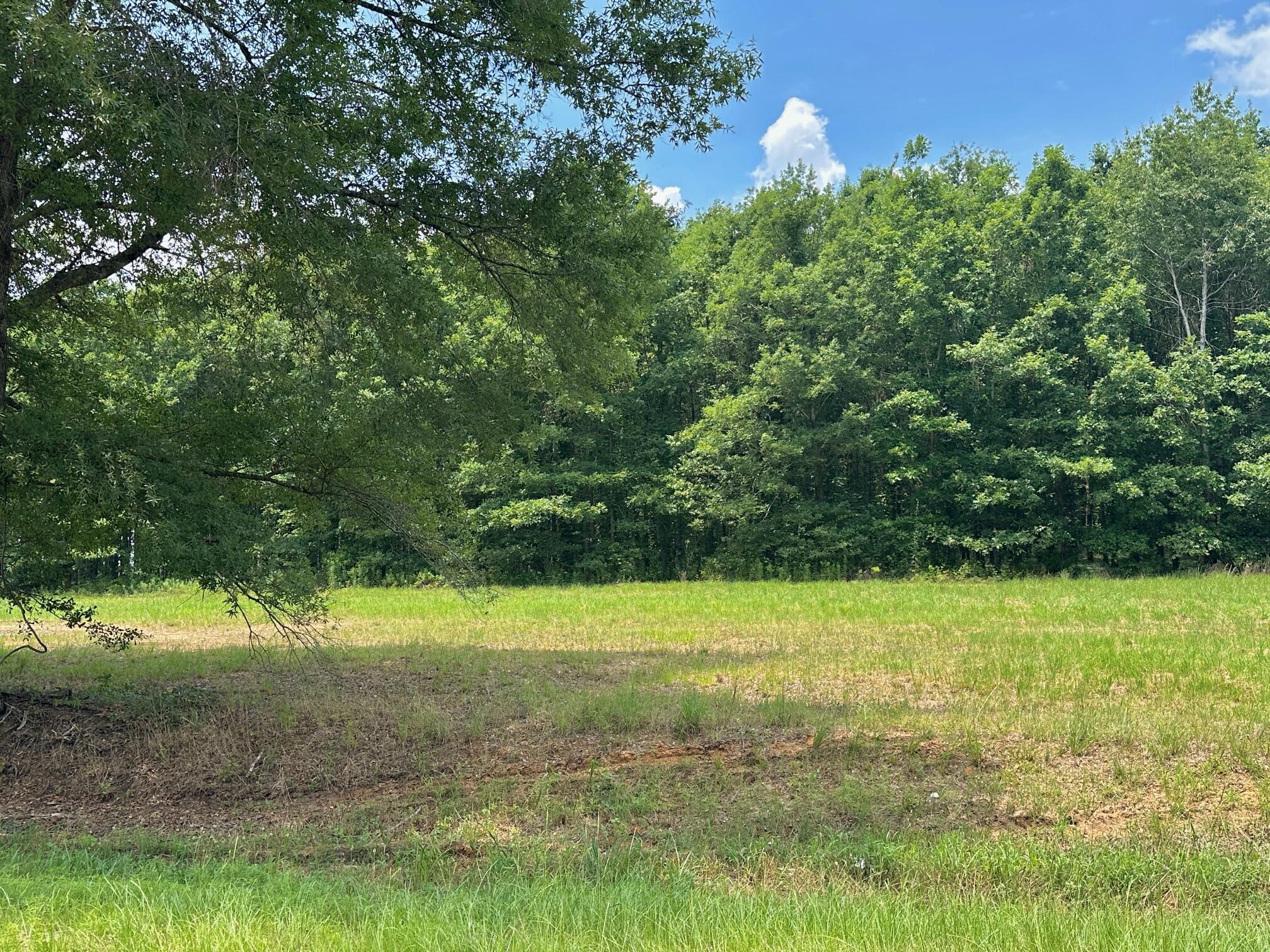 0 Chappel Road, Waynesboro, GA, 30830