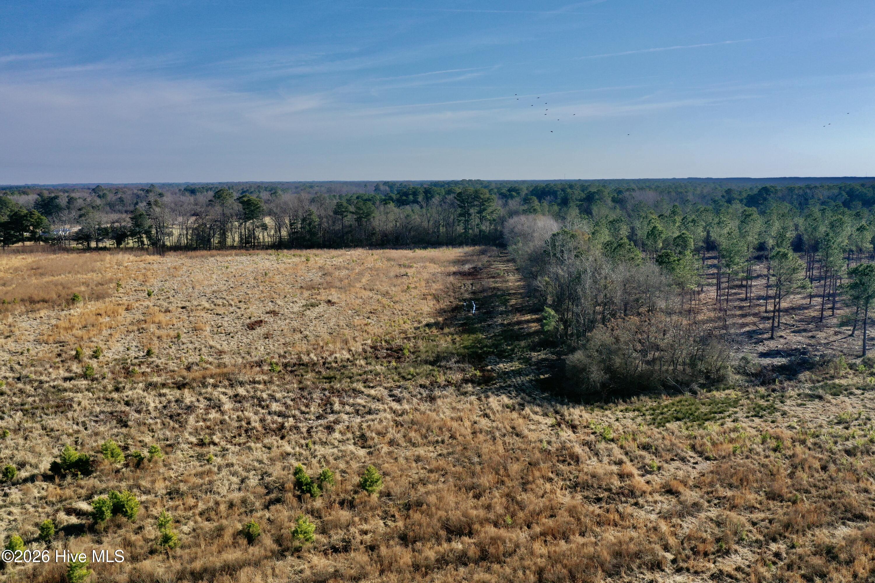 1st image of 0 Fayetteville Rd, Garland, NC 28441 | MLS# 100592191