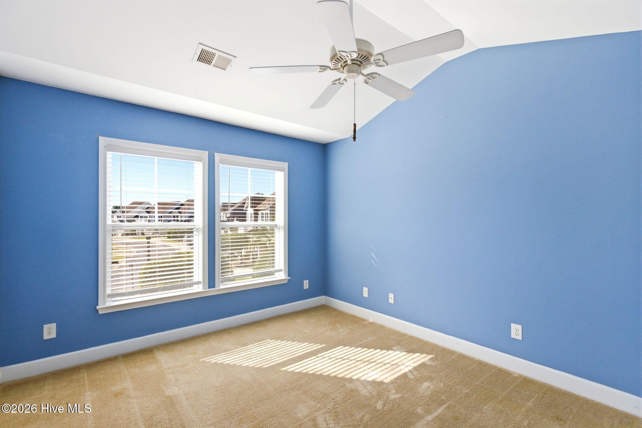 100564398 | Photo 24