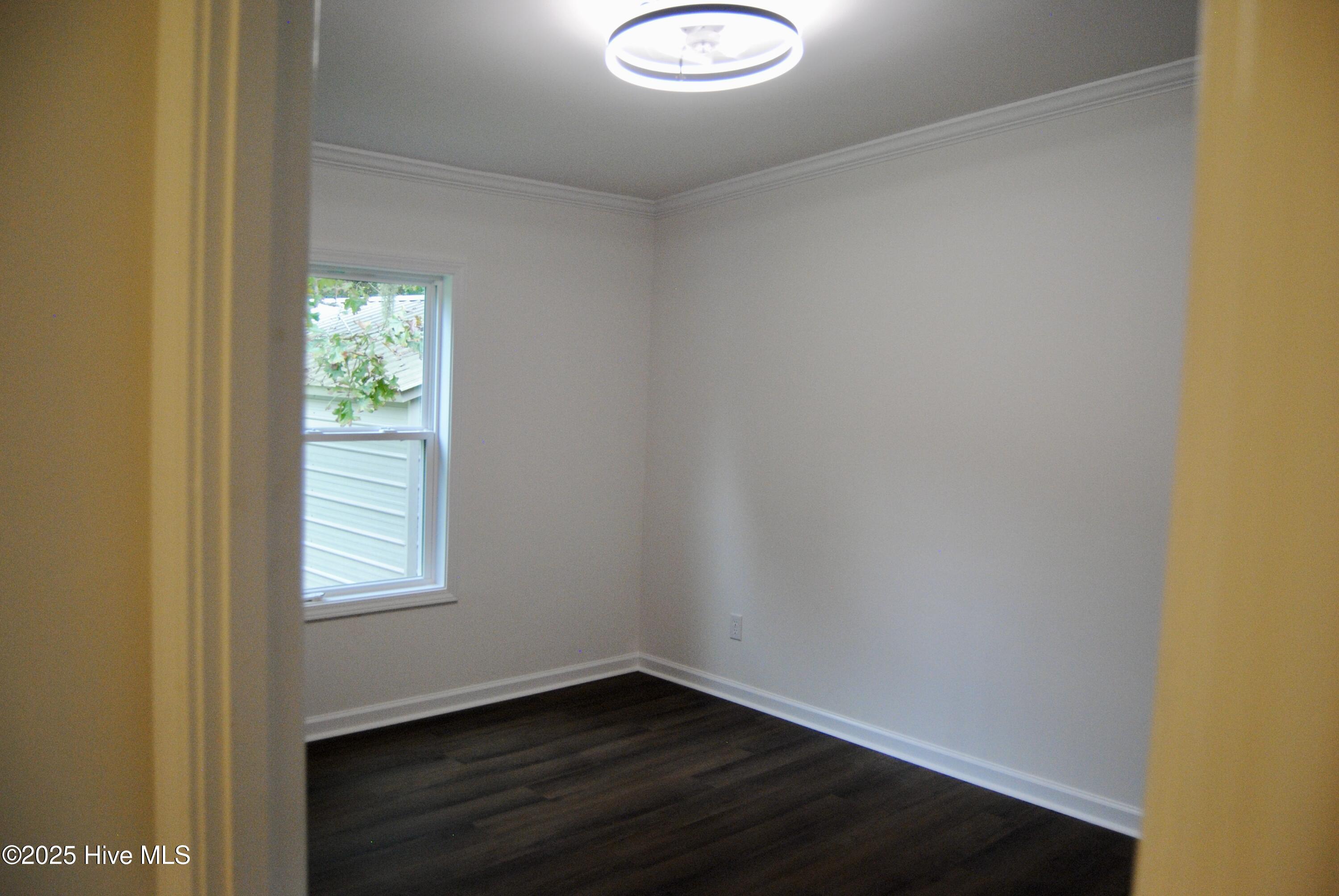 100533223 | Photo 50