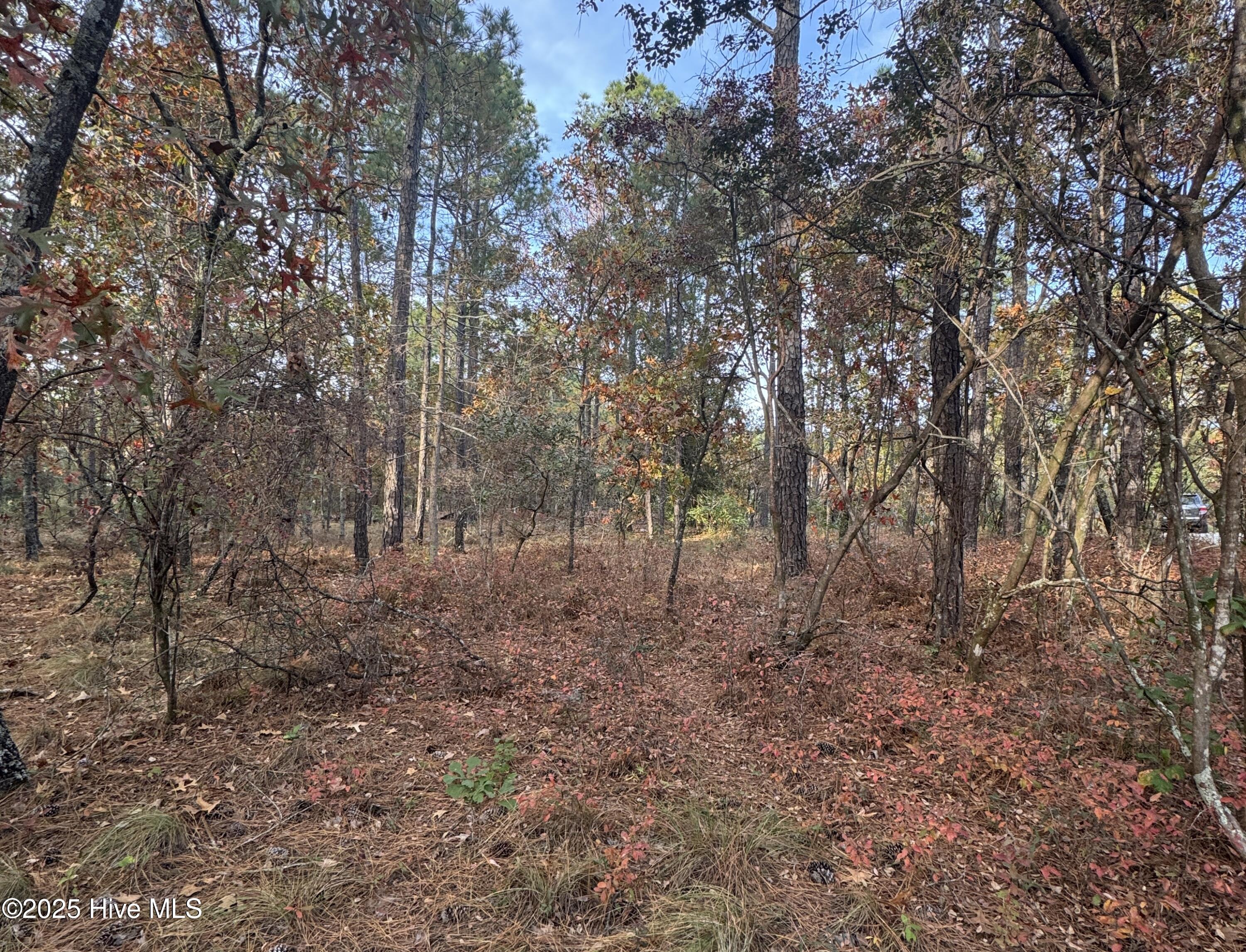 100541965 | Photo 10