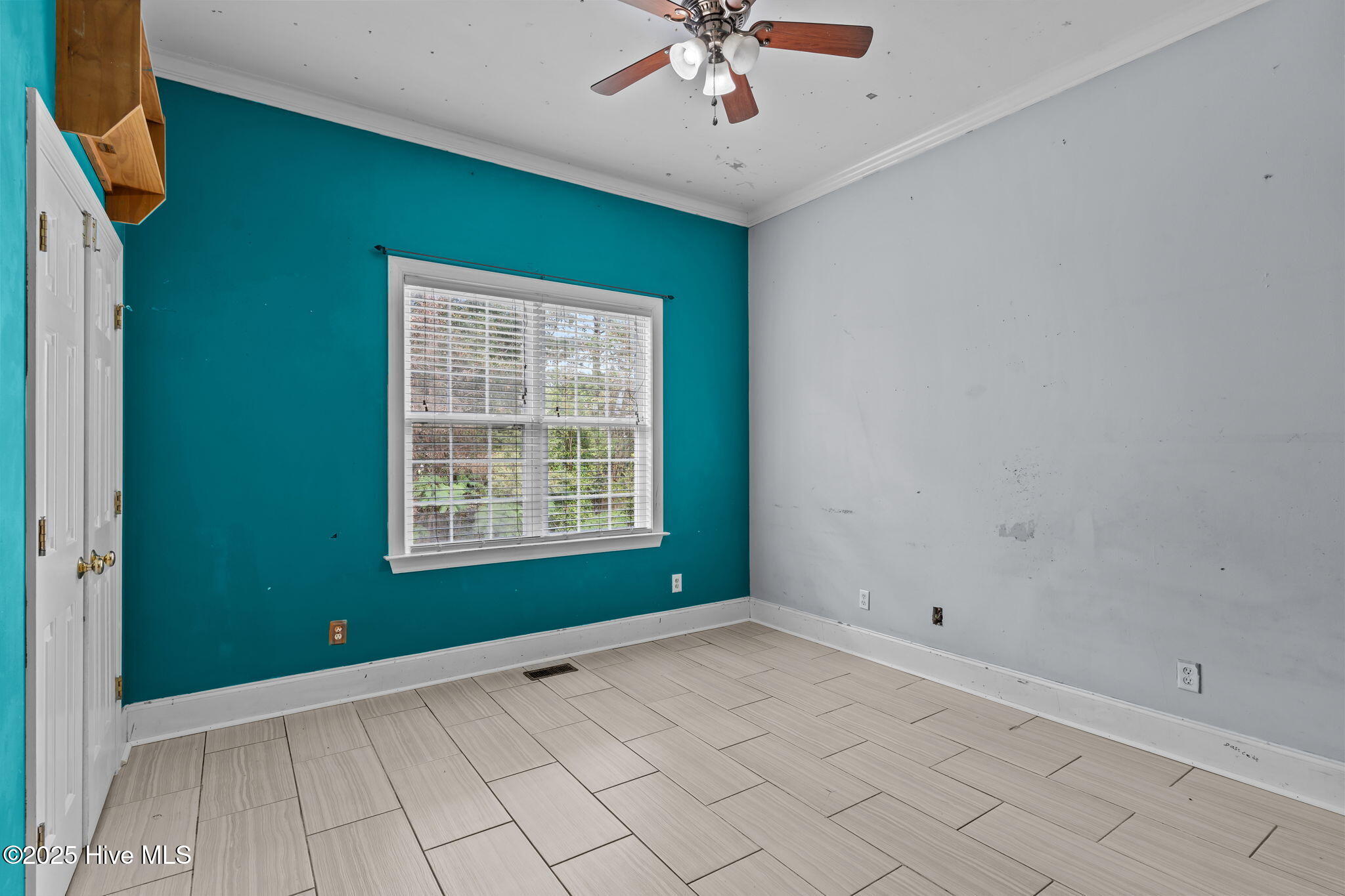 100538095 | Photo 31