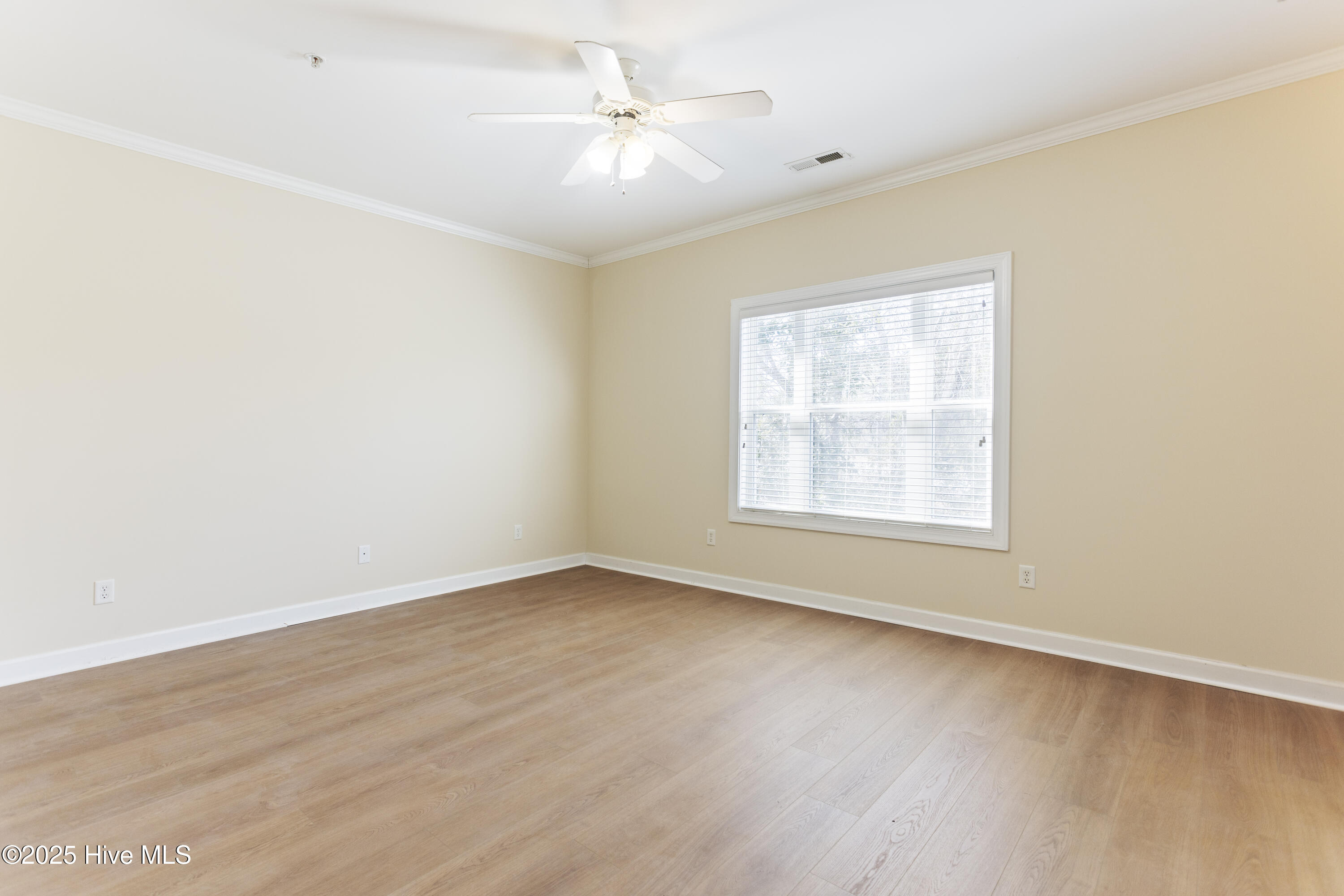 100486199 | Photo 22