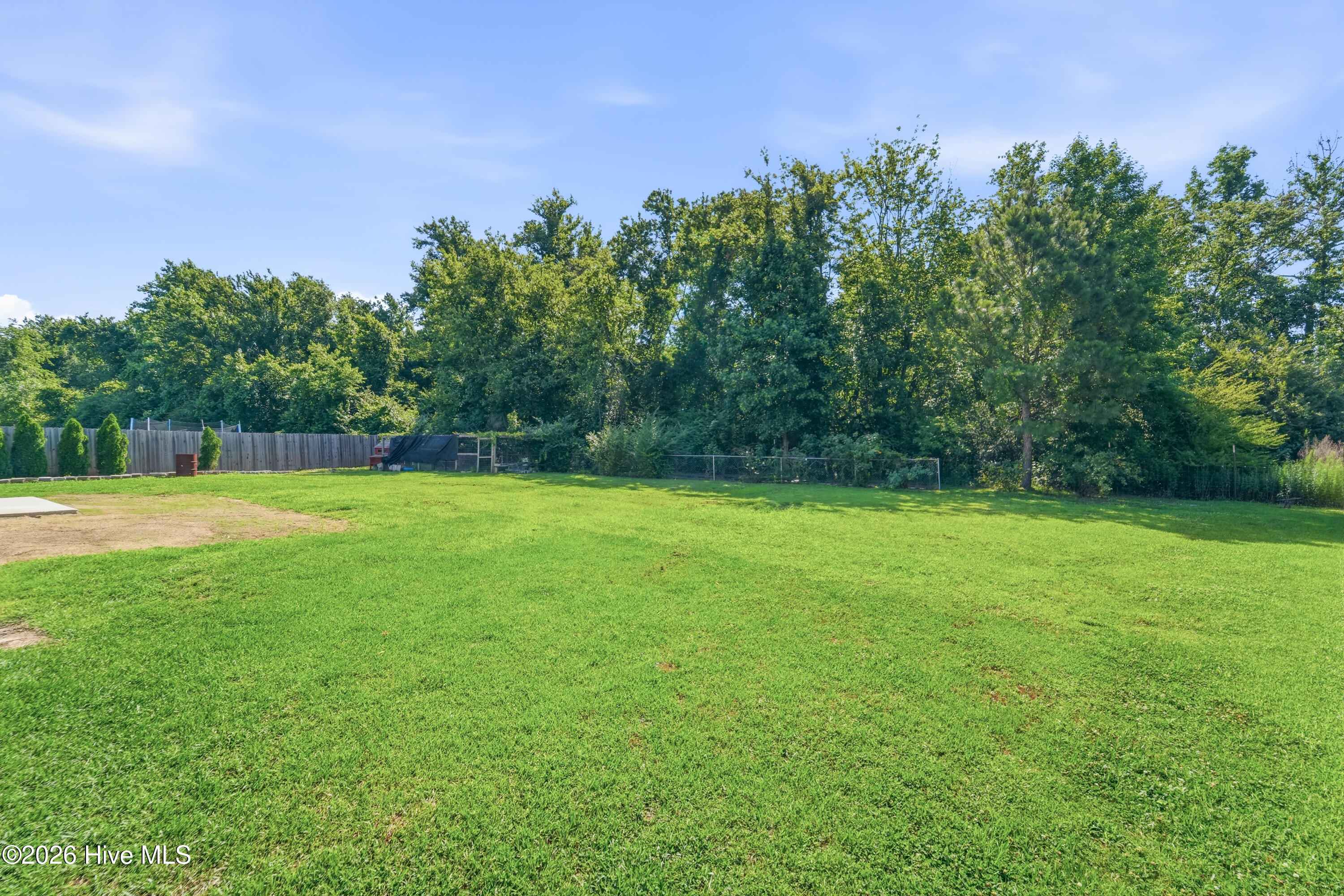 206 Margaret Court, Beulaville, NC 28518 Listing Photo  54