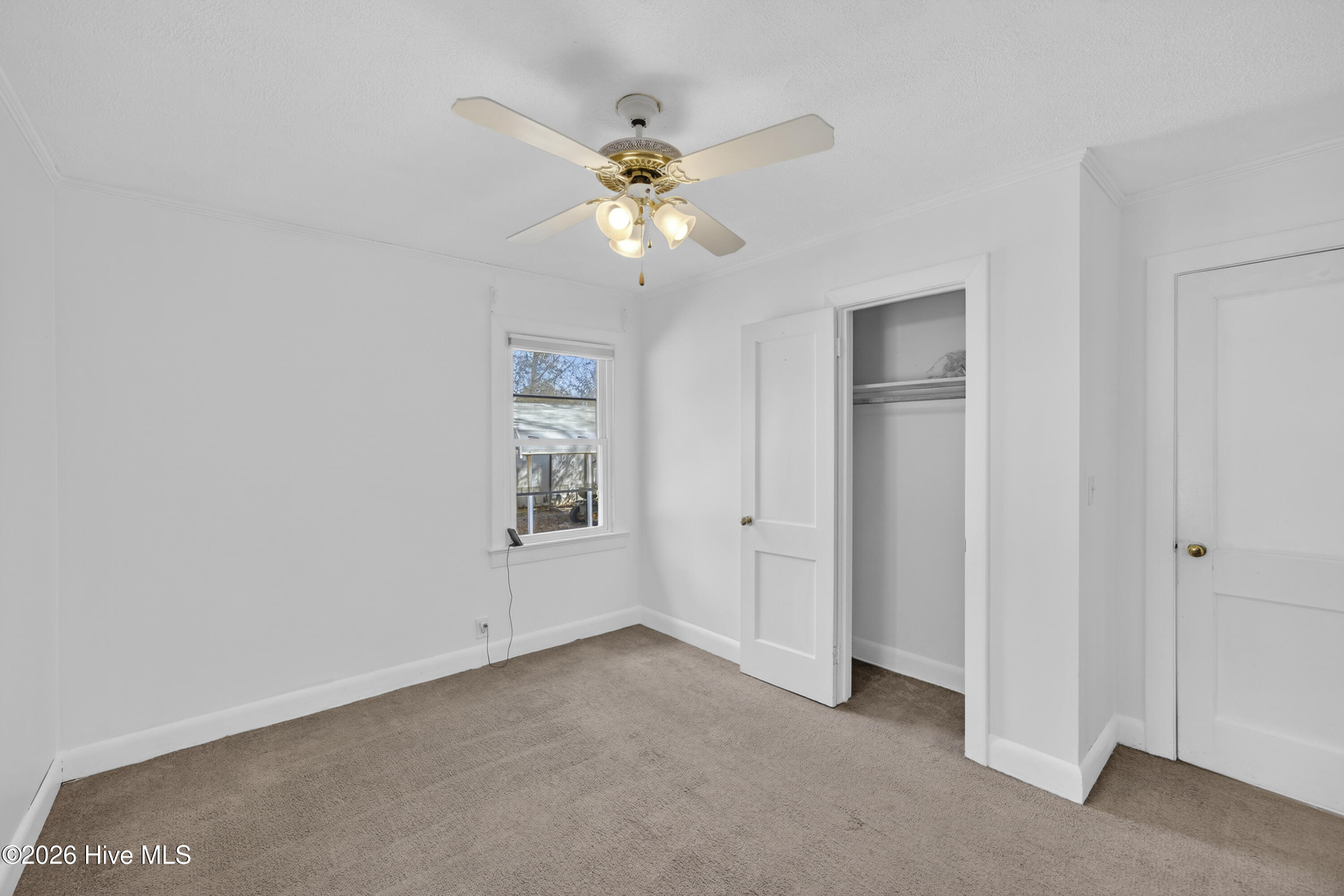 100556676 | Photo 22