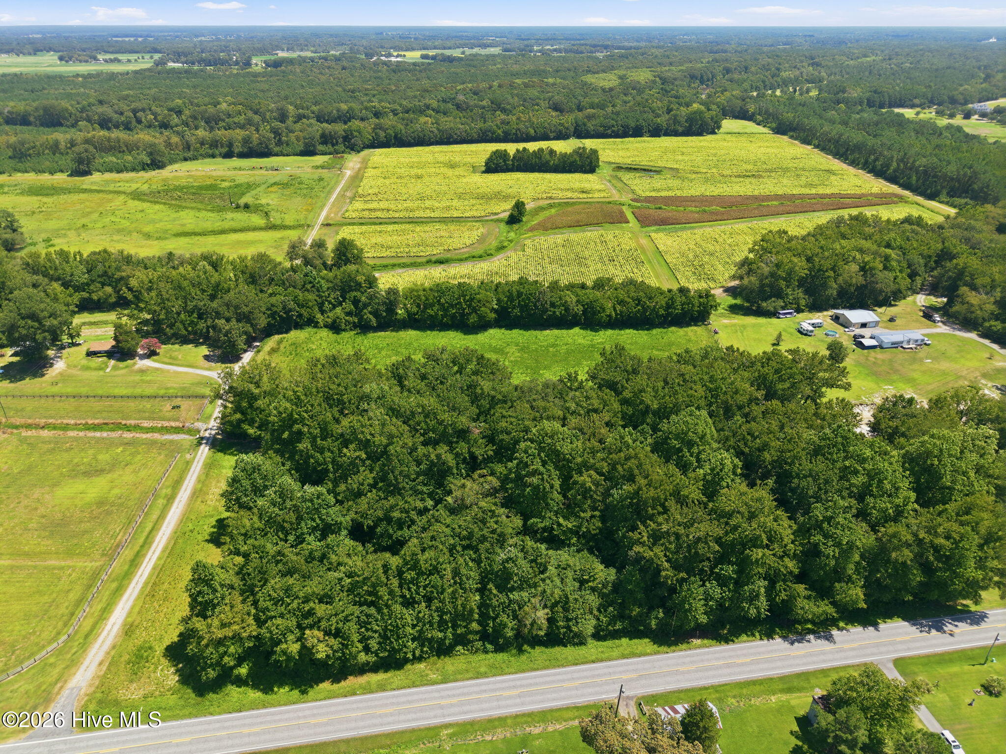 3rd image of 0 N Carolina 43, Macclesfield, NC 27852 | MLS# 100597023