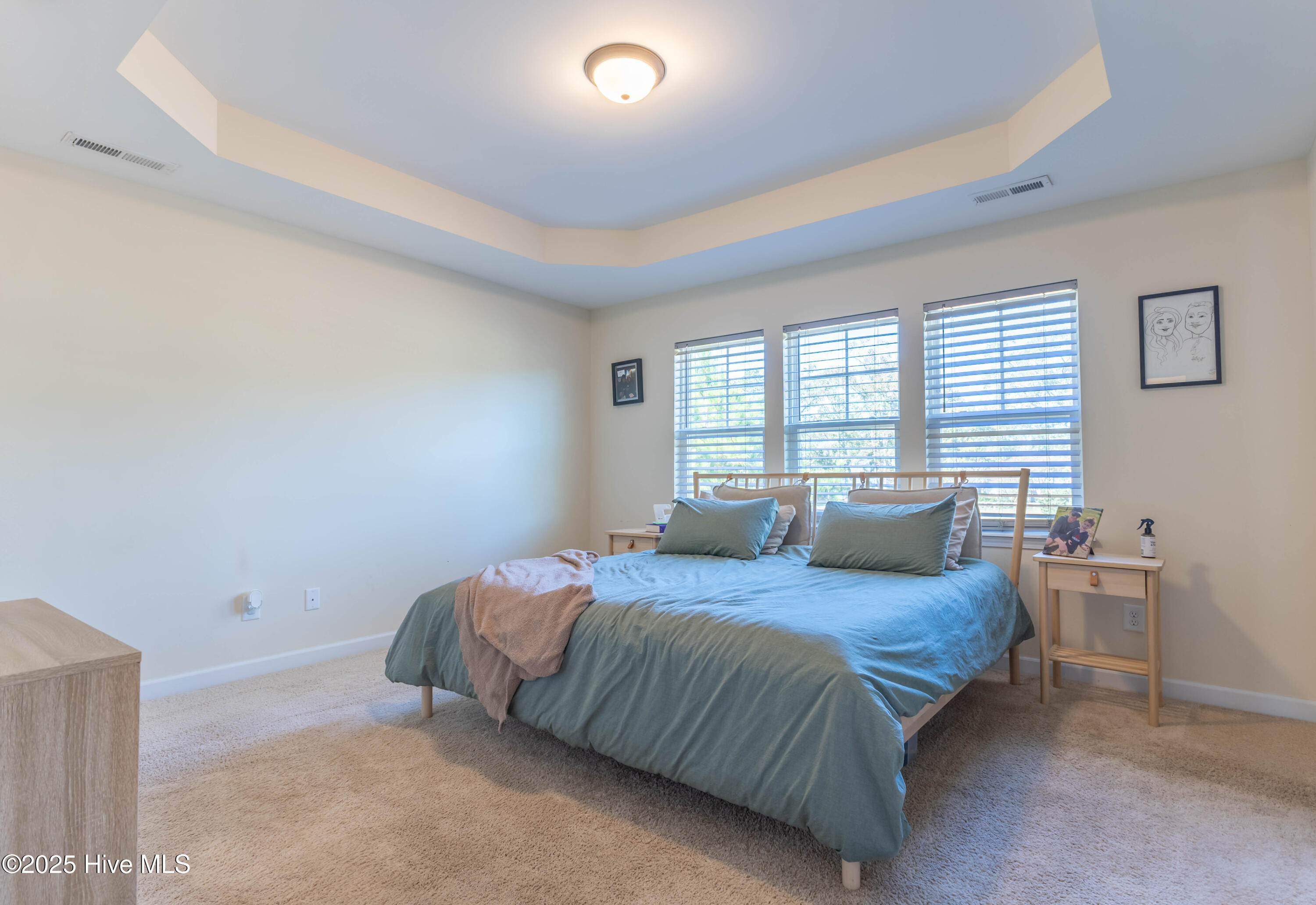 100542284 | Photo 24