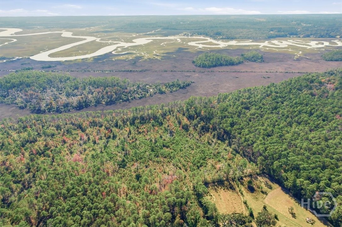 Homes for sale in Townsend, GA | 0 Fair Hope Rd Ne, Townsend, GA 31331 | MLS# SA343434