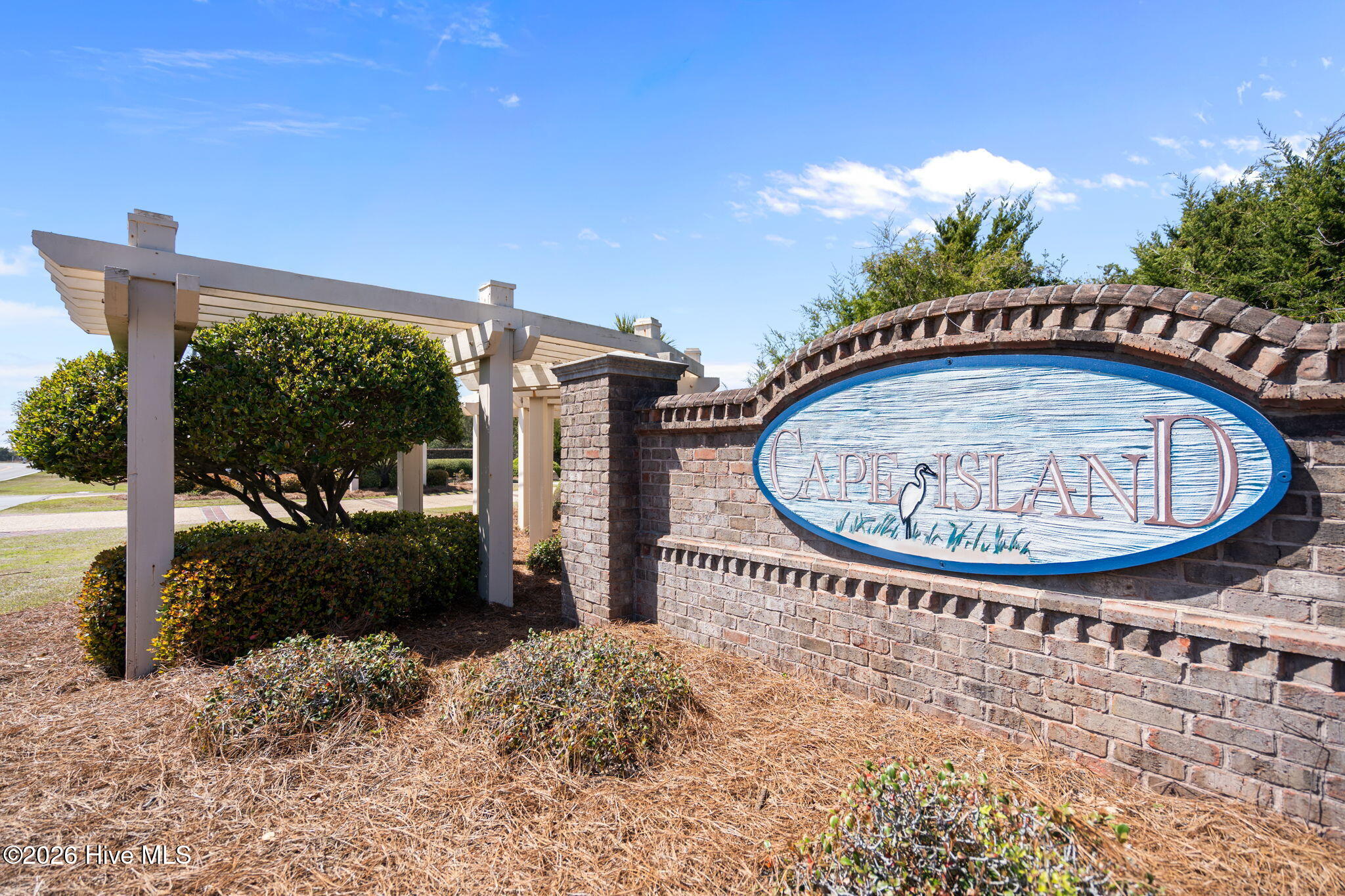 100564459 | Photo 65