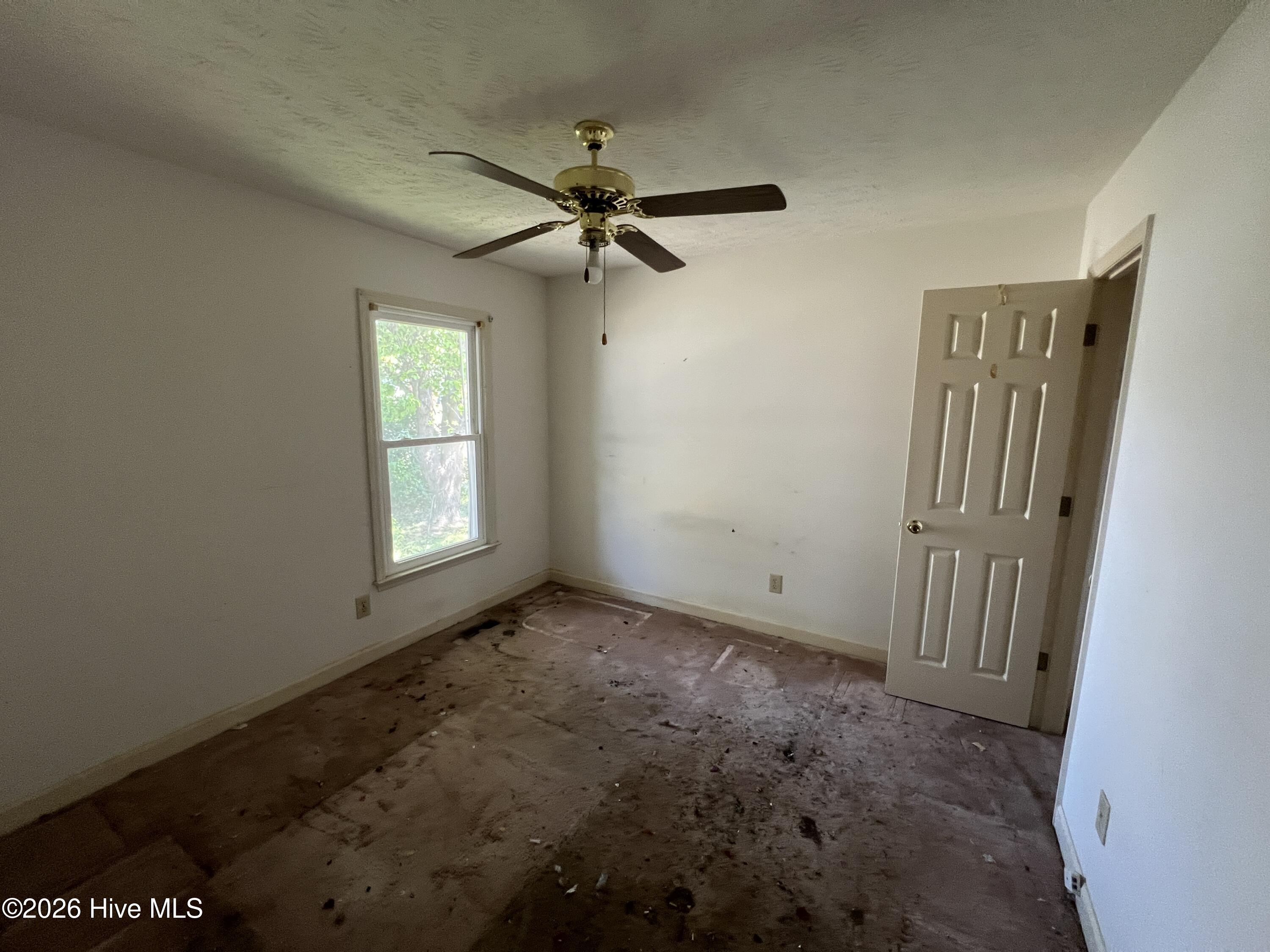 100555169 | Photo 11