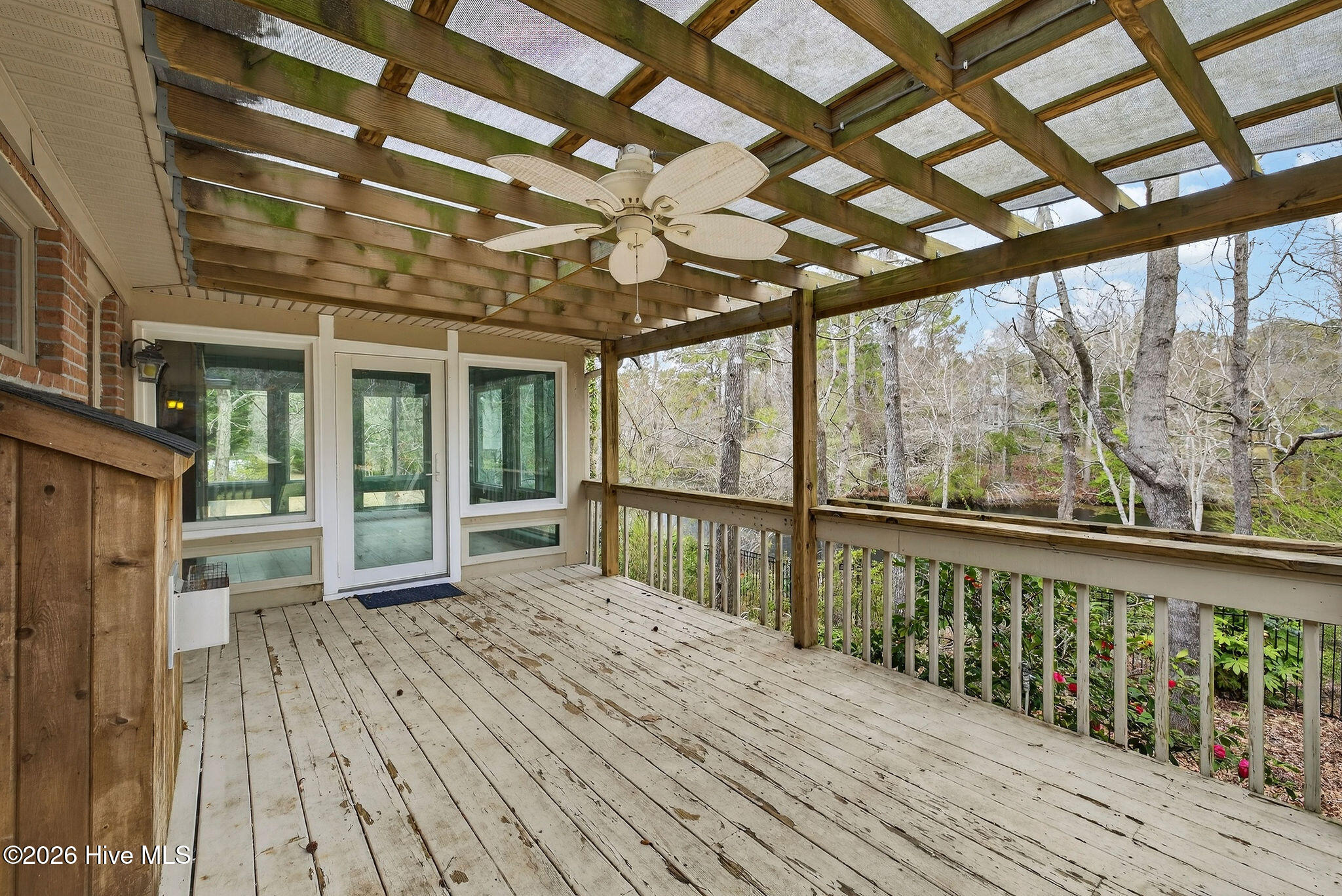 100556345 | Photo 14