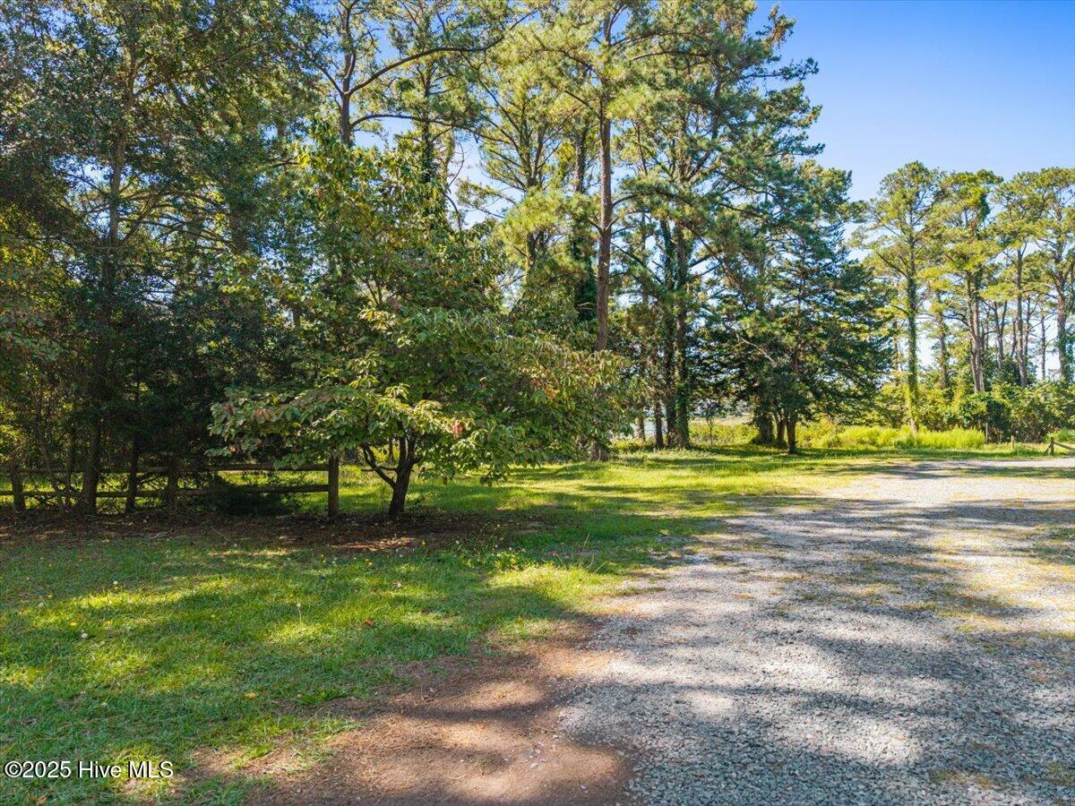 100538571 | Photo 33