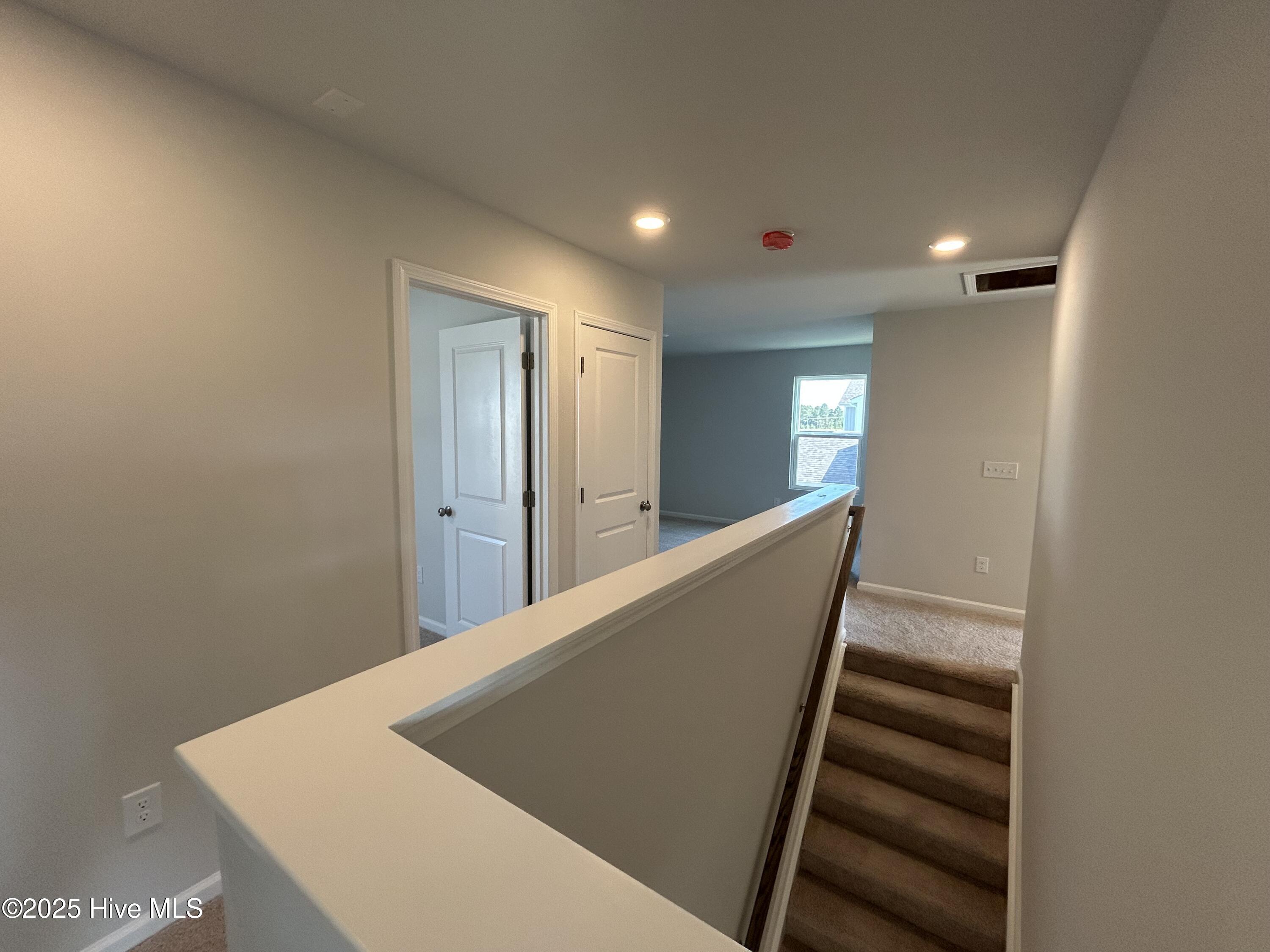 100513181 | Photo 11