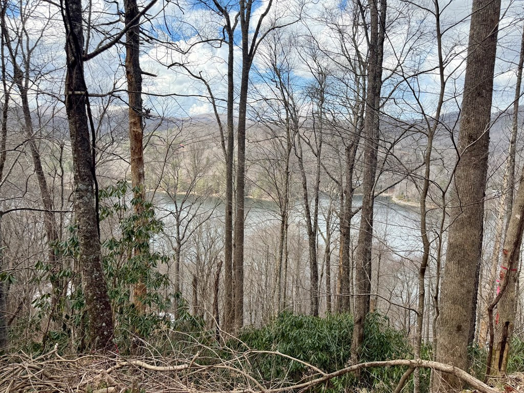 Homes for sale in Nantahala, NC | Lot# 38 Nantahala Shores Rd, Nantahala, NC 28781 | MLS# 98500049