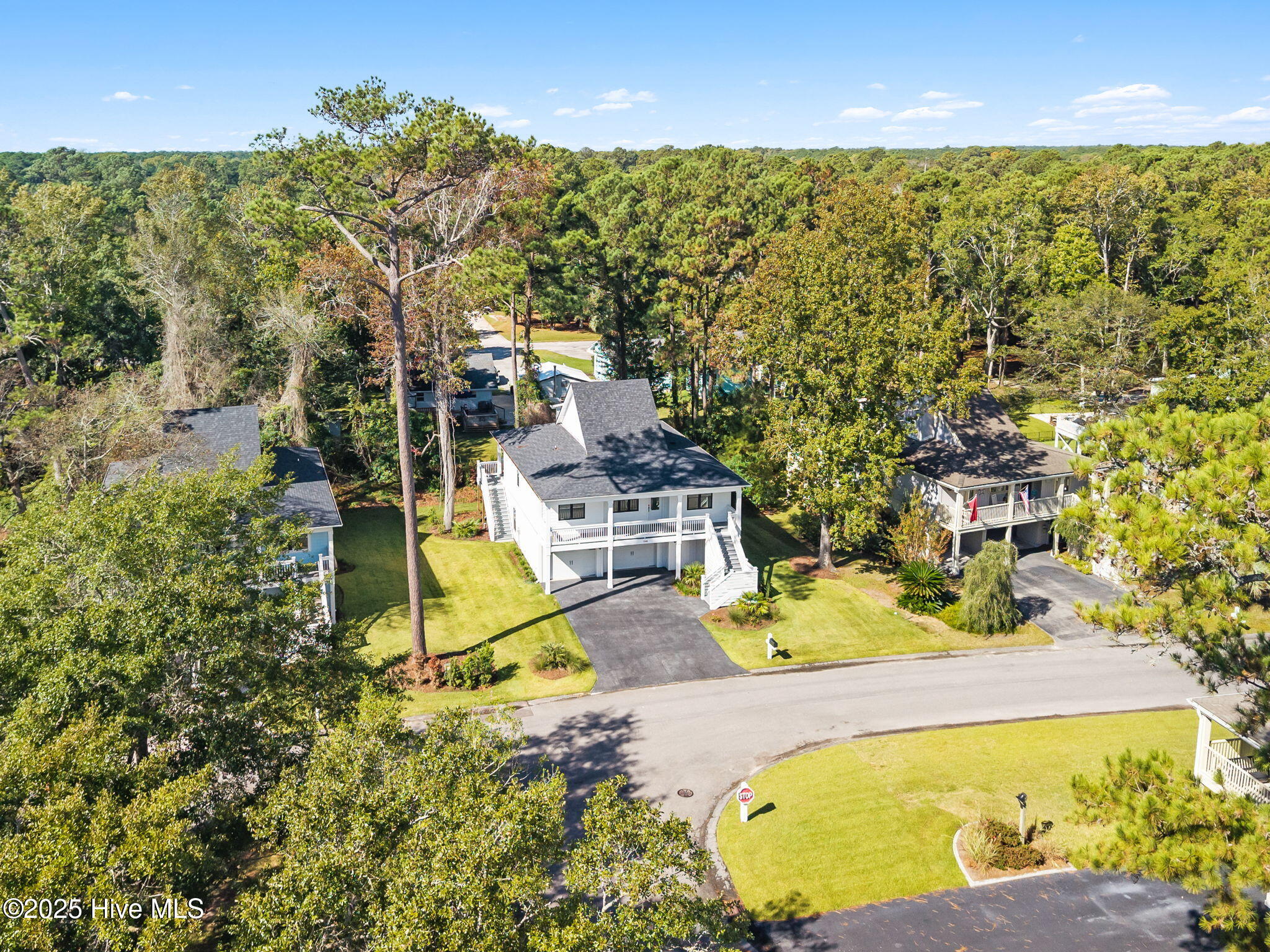 100535041 | Photo 41