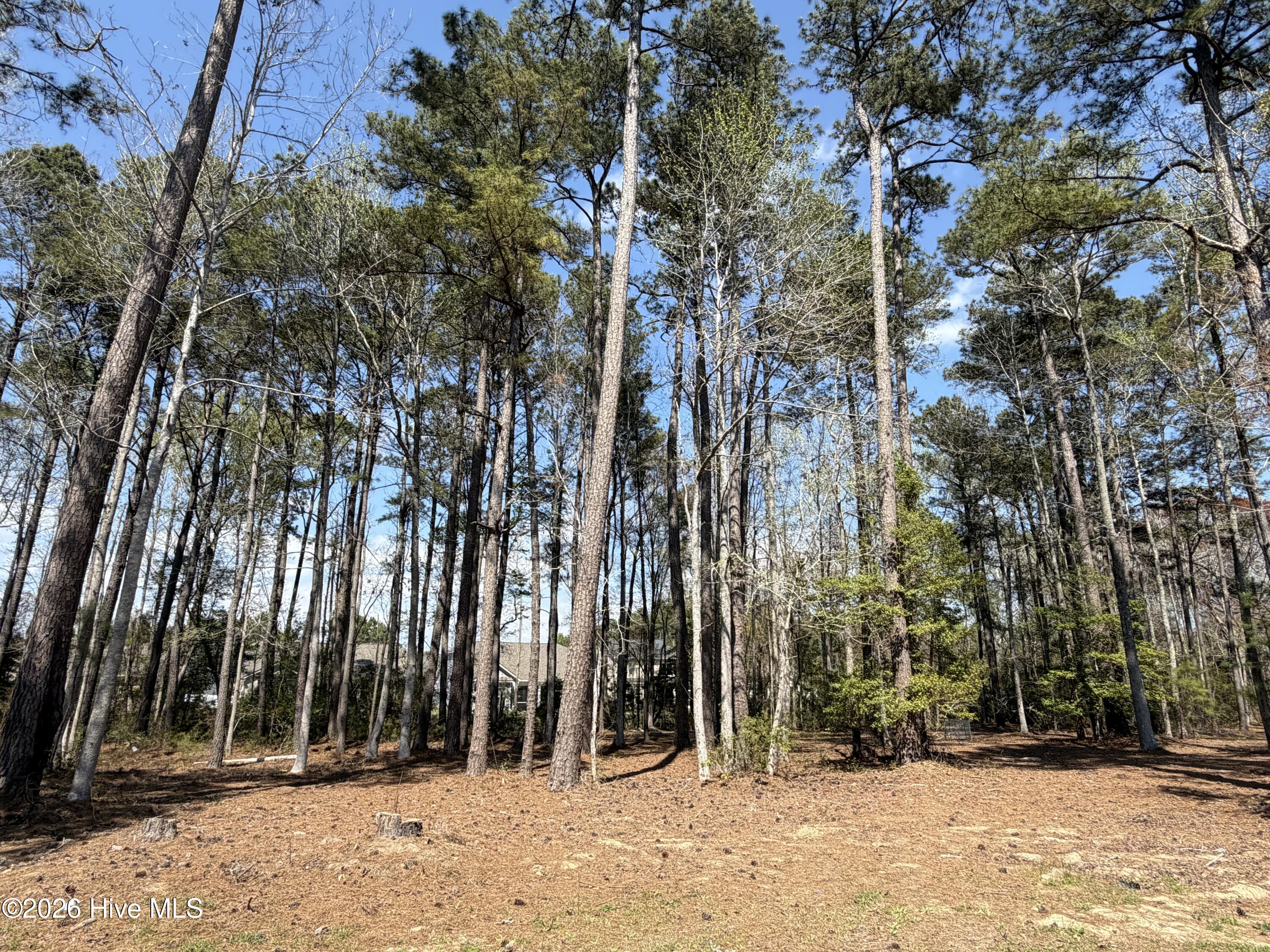 6790 Hanbury Place SW, Ocean Isle Beach, NC, 28469