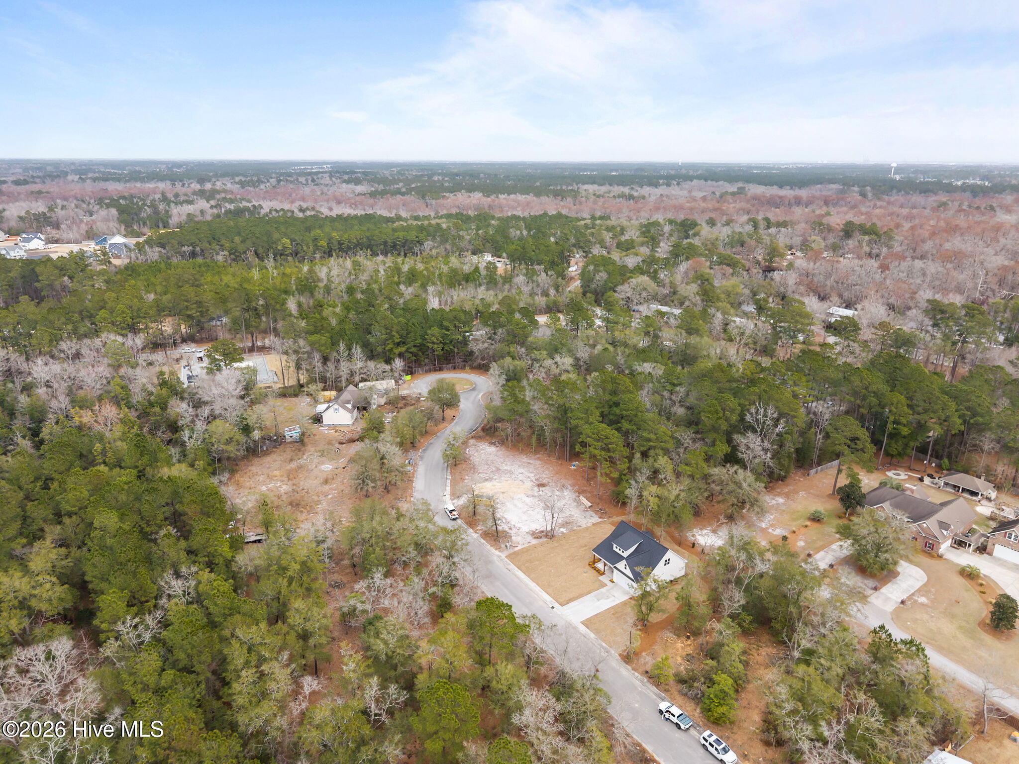 100558259 | Photo 53