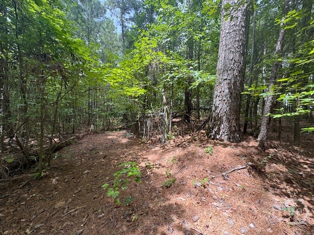 3rd image of 0 W Hwy 72 West, Hull, GA 30646 | MLS# CL361232
