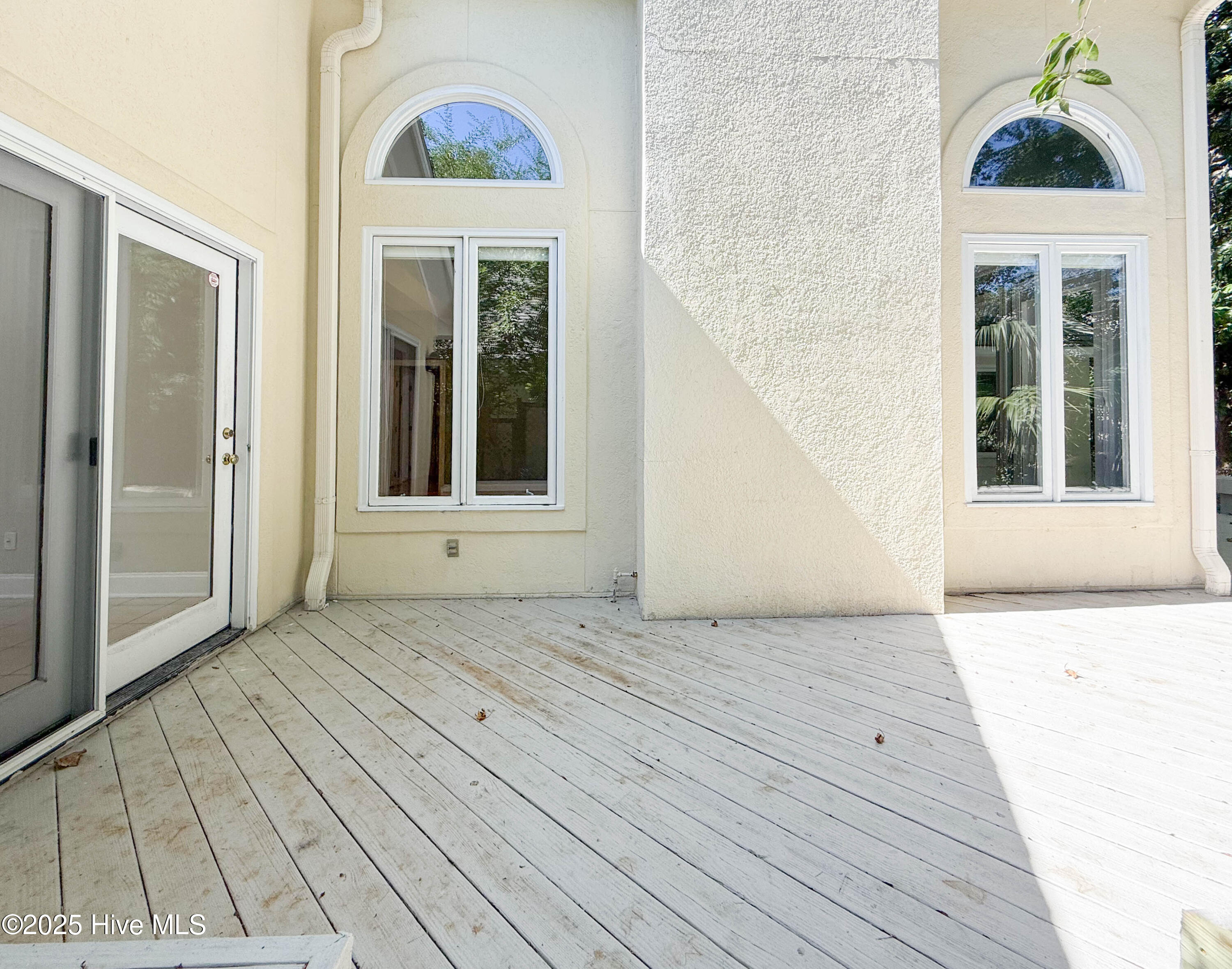 100535071 | Photo 15