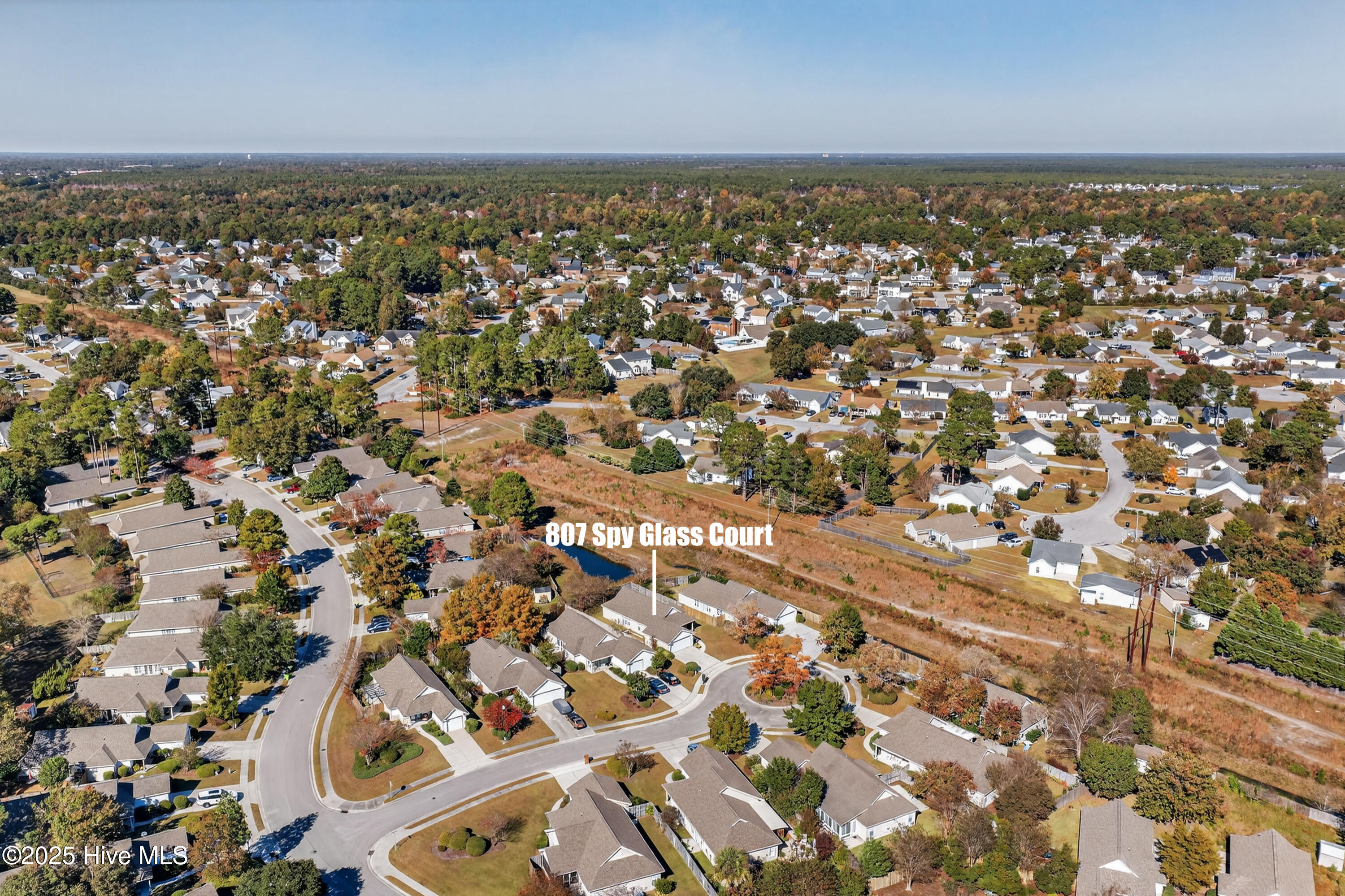 100541920 | Photo 43