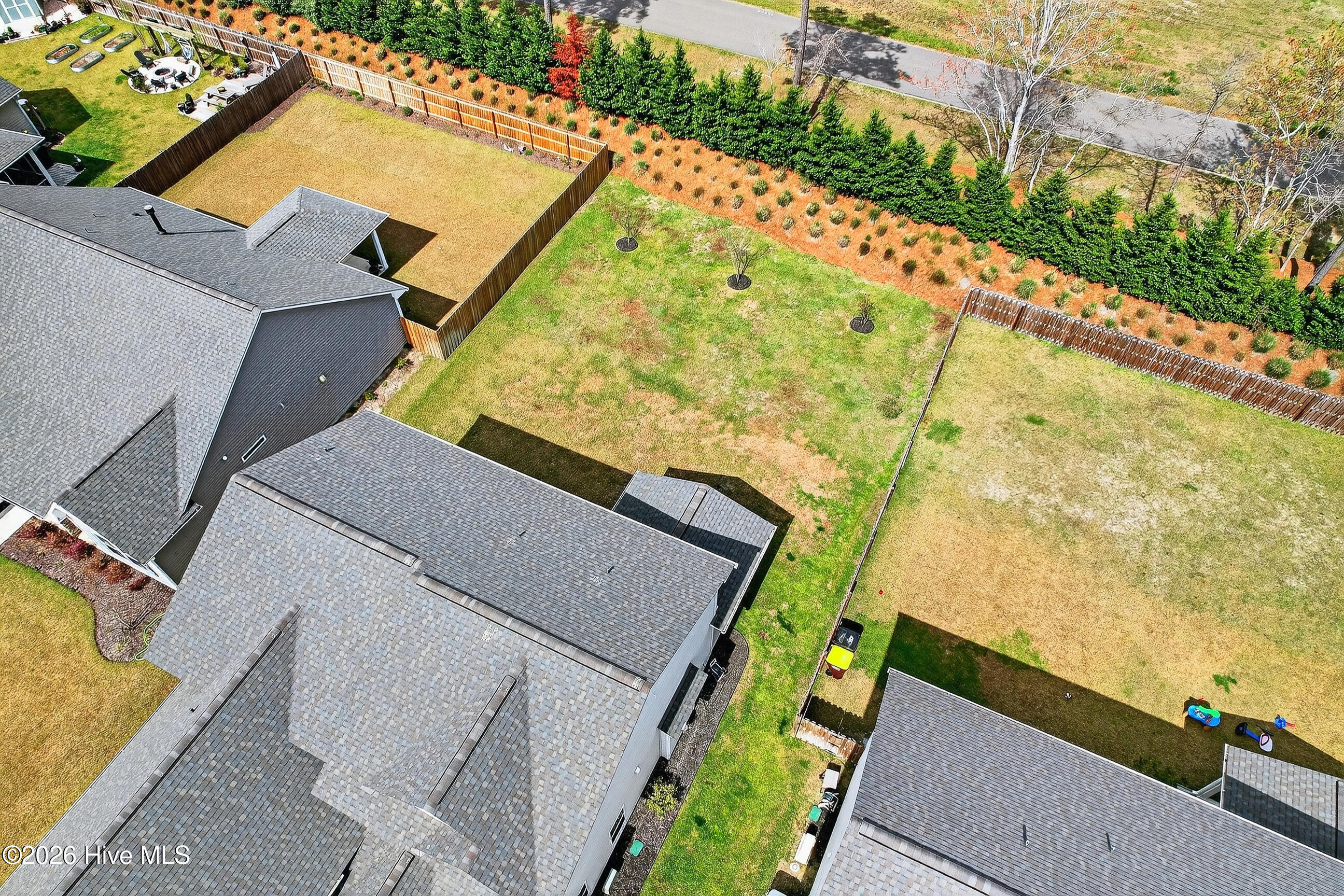 100563505 | Photo 49