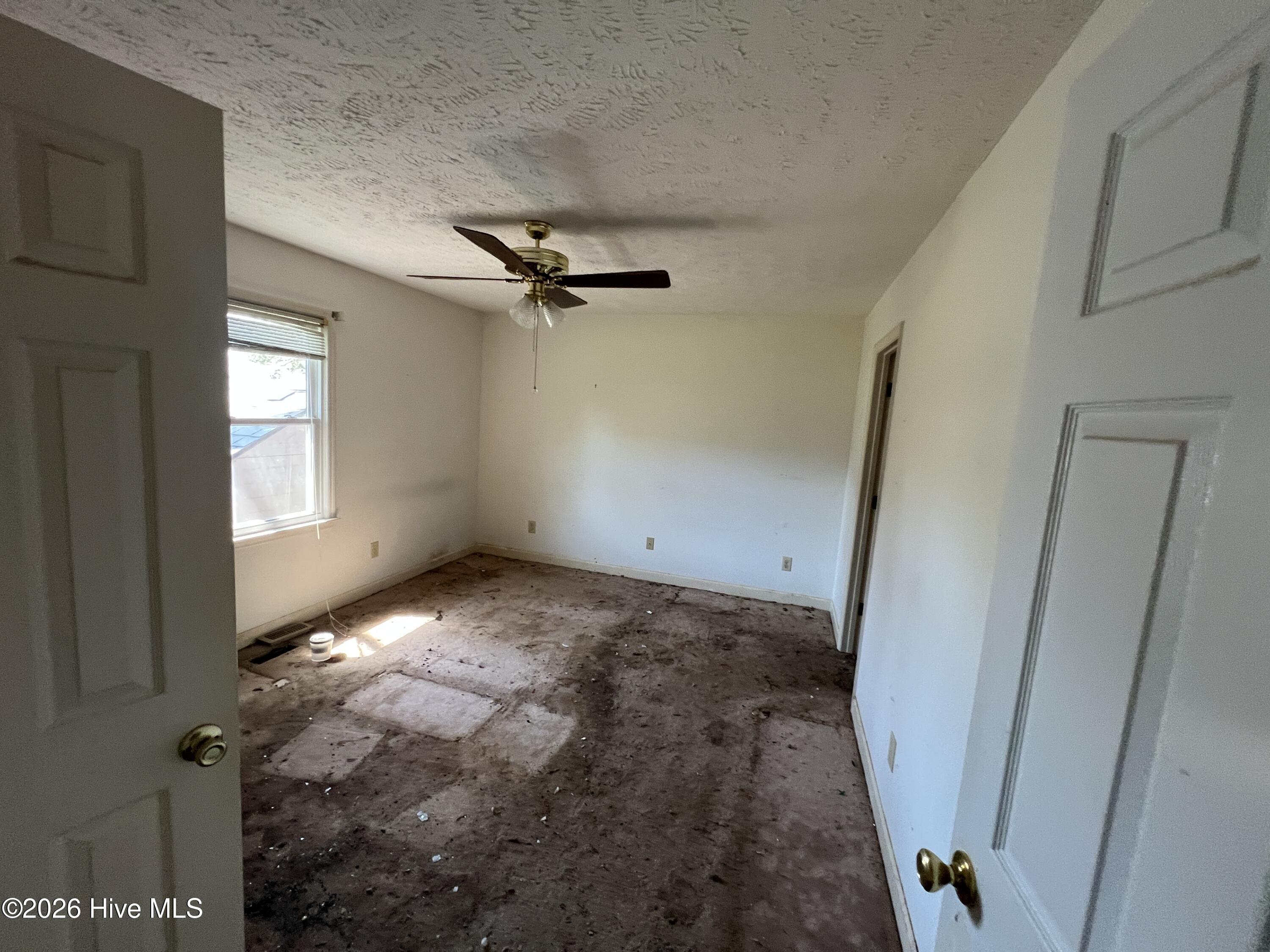 100555169 | Photo 13