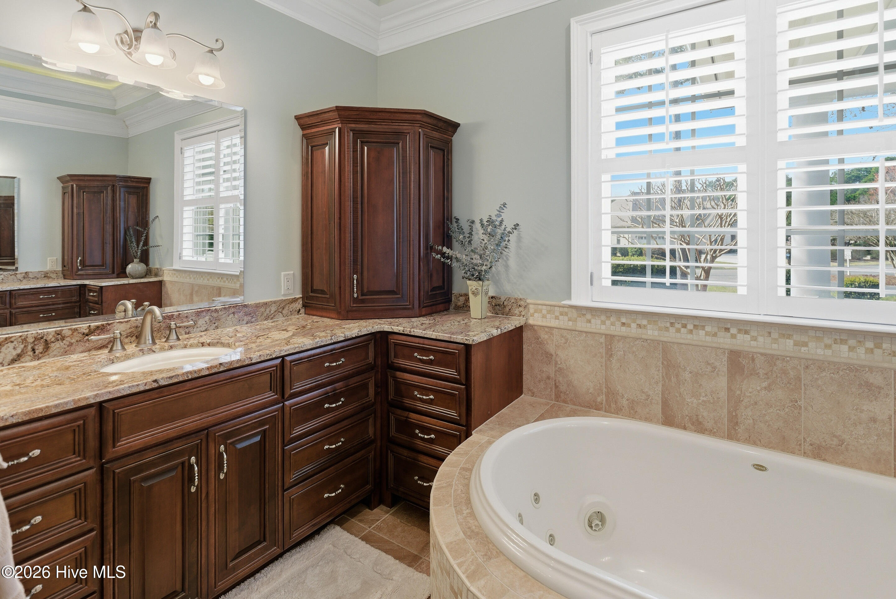 100563976 | Photo 23