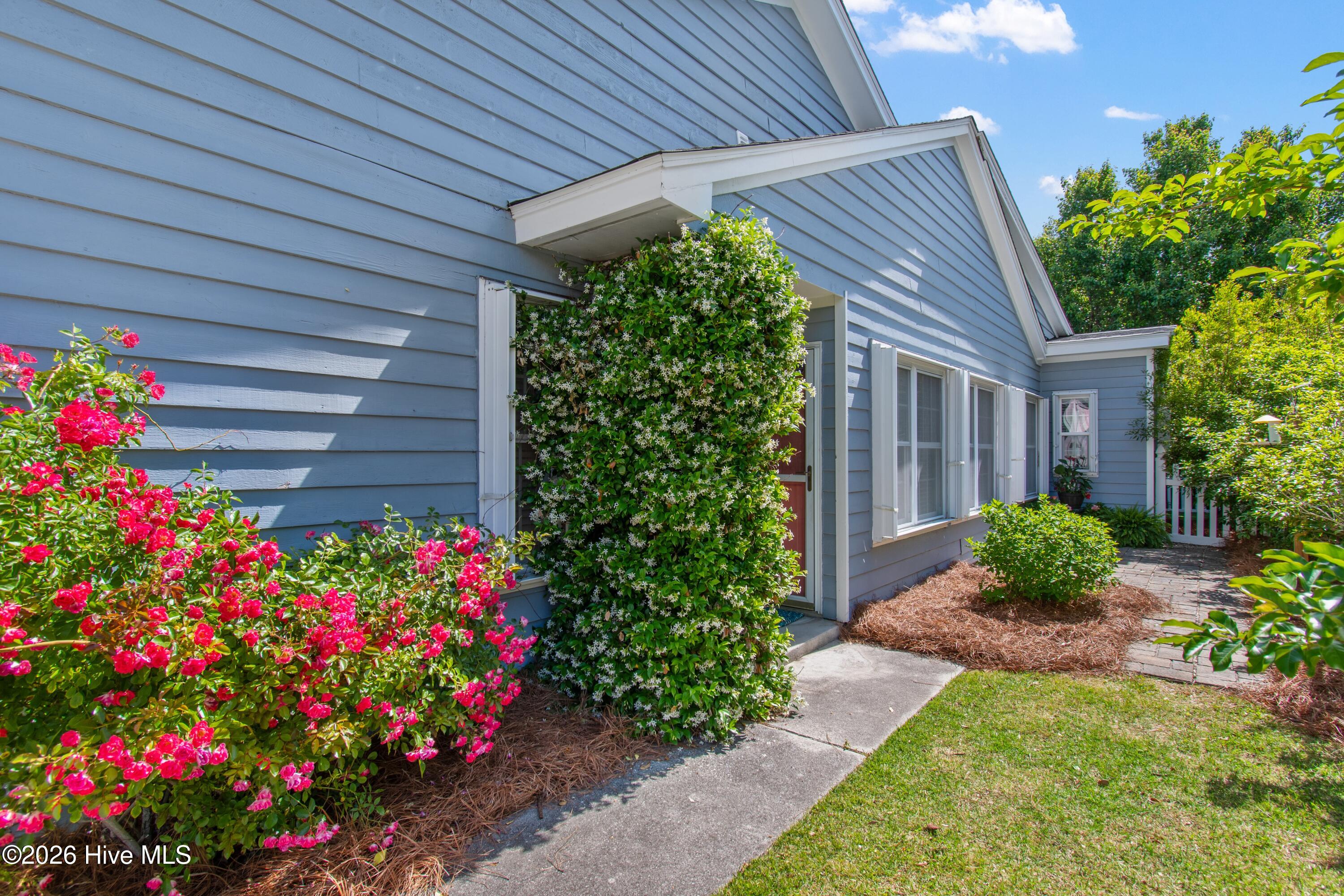 100570489 | Photo 20