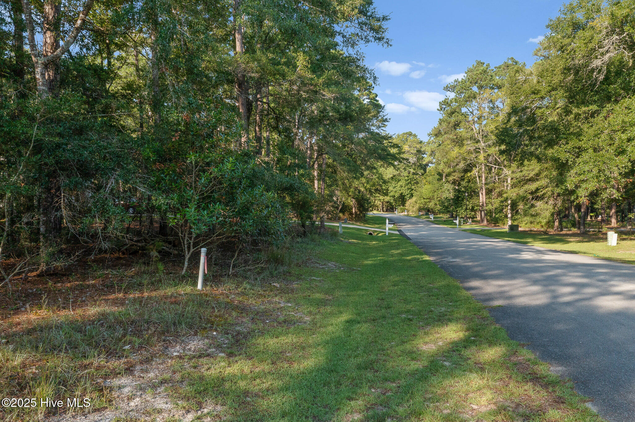 100526036 | Photo 17