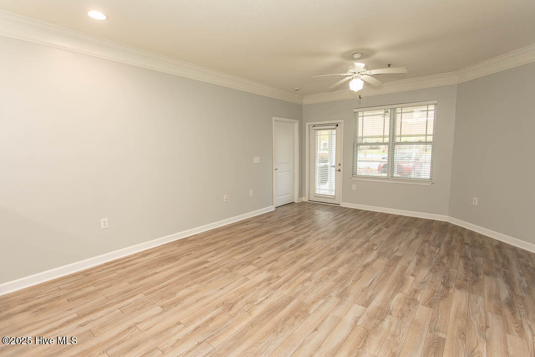 100532415 | Photo 10