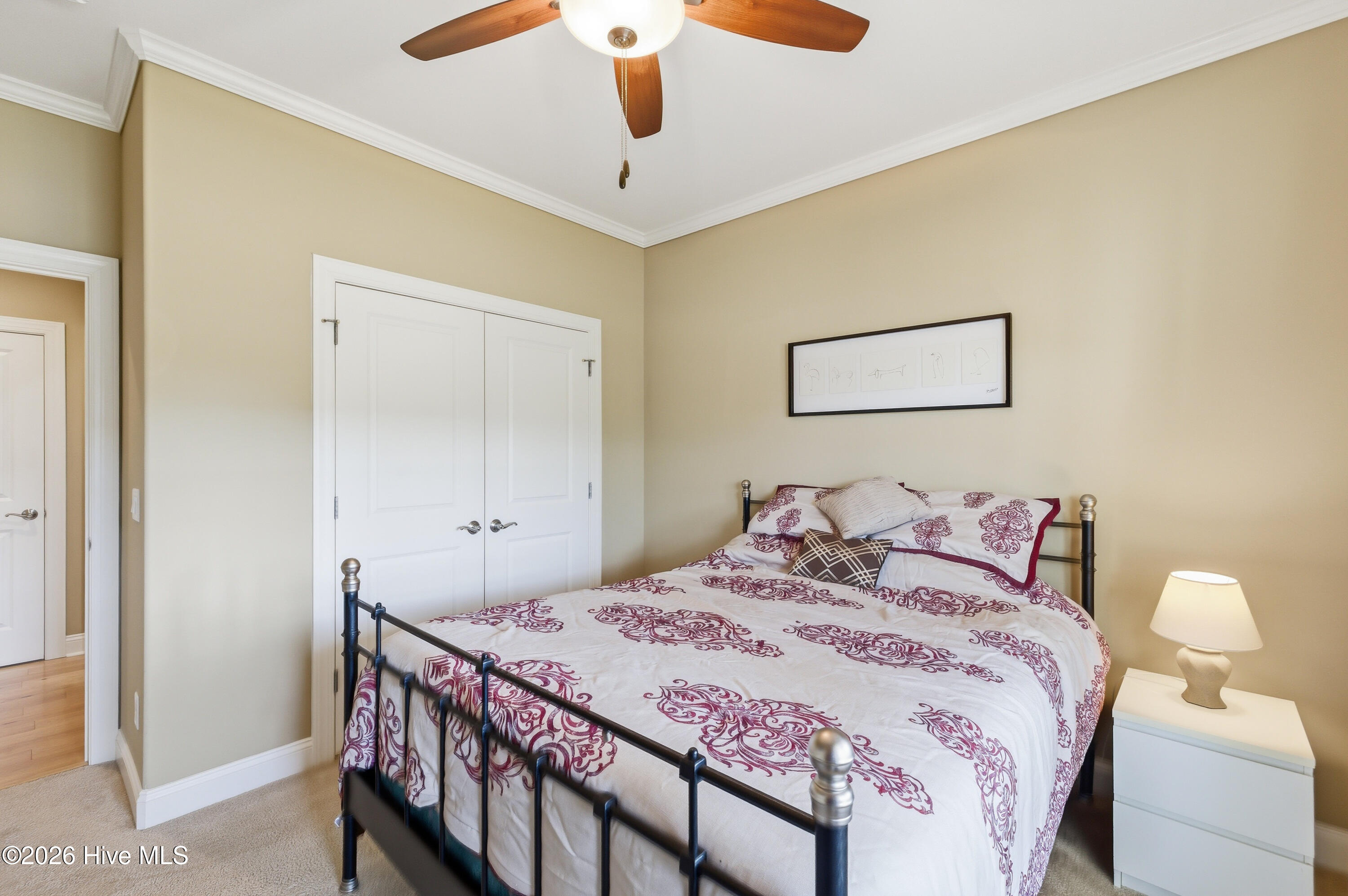 100570456 | Photo 50