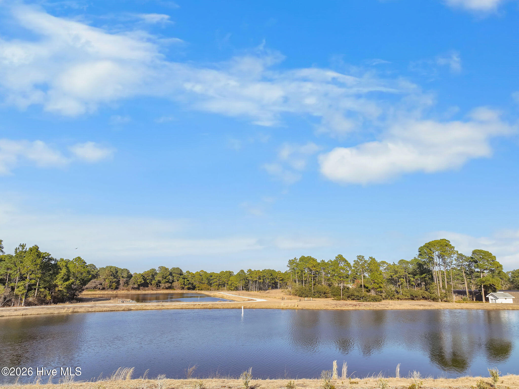 100554369 | Photo 40