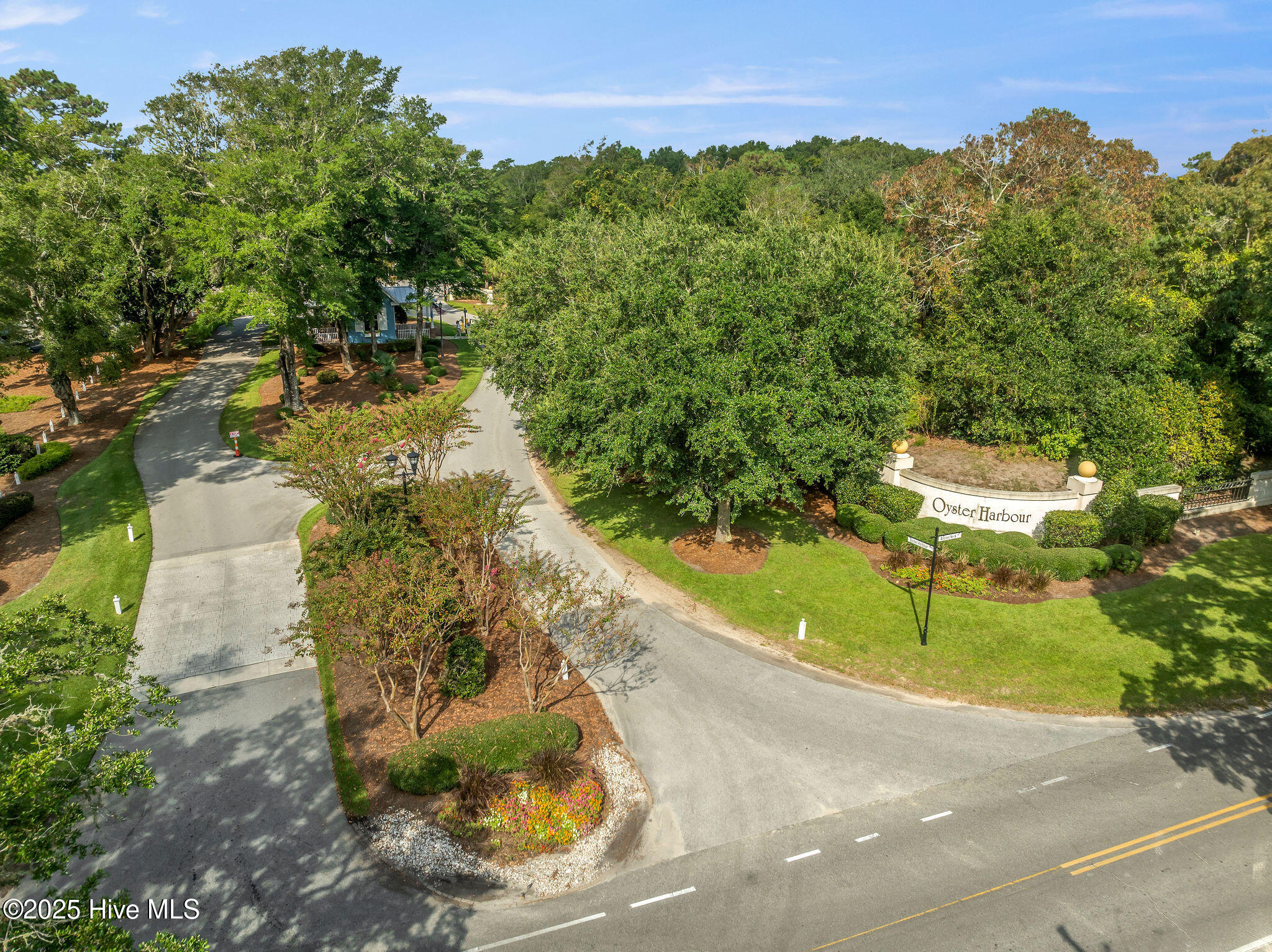 100488997 | Photo 65