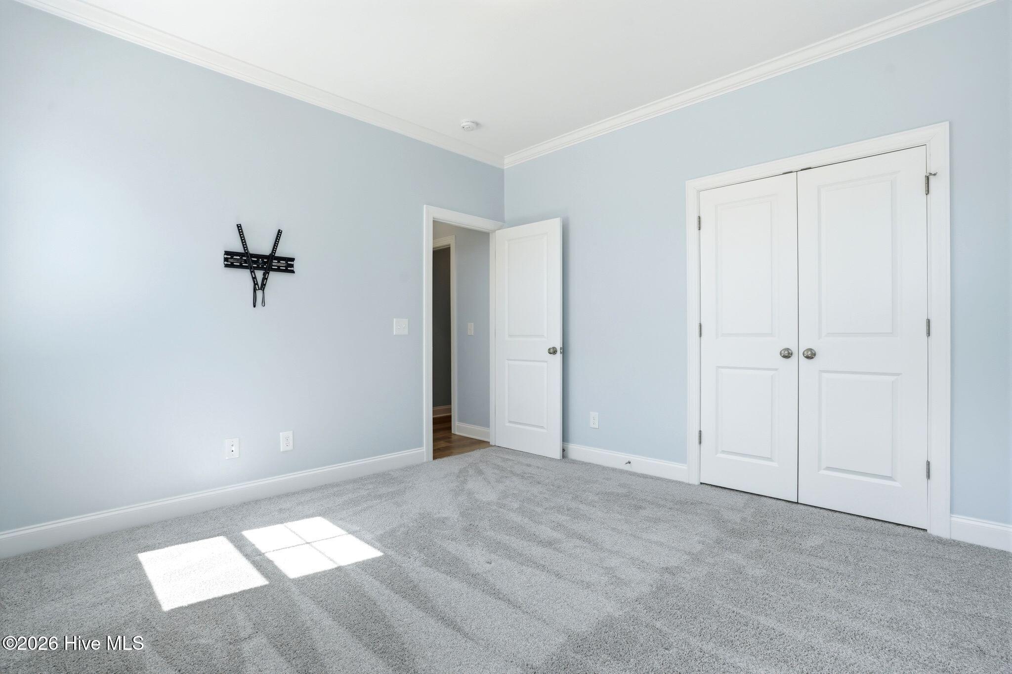 100562109 | Photo 35