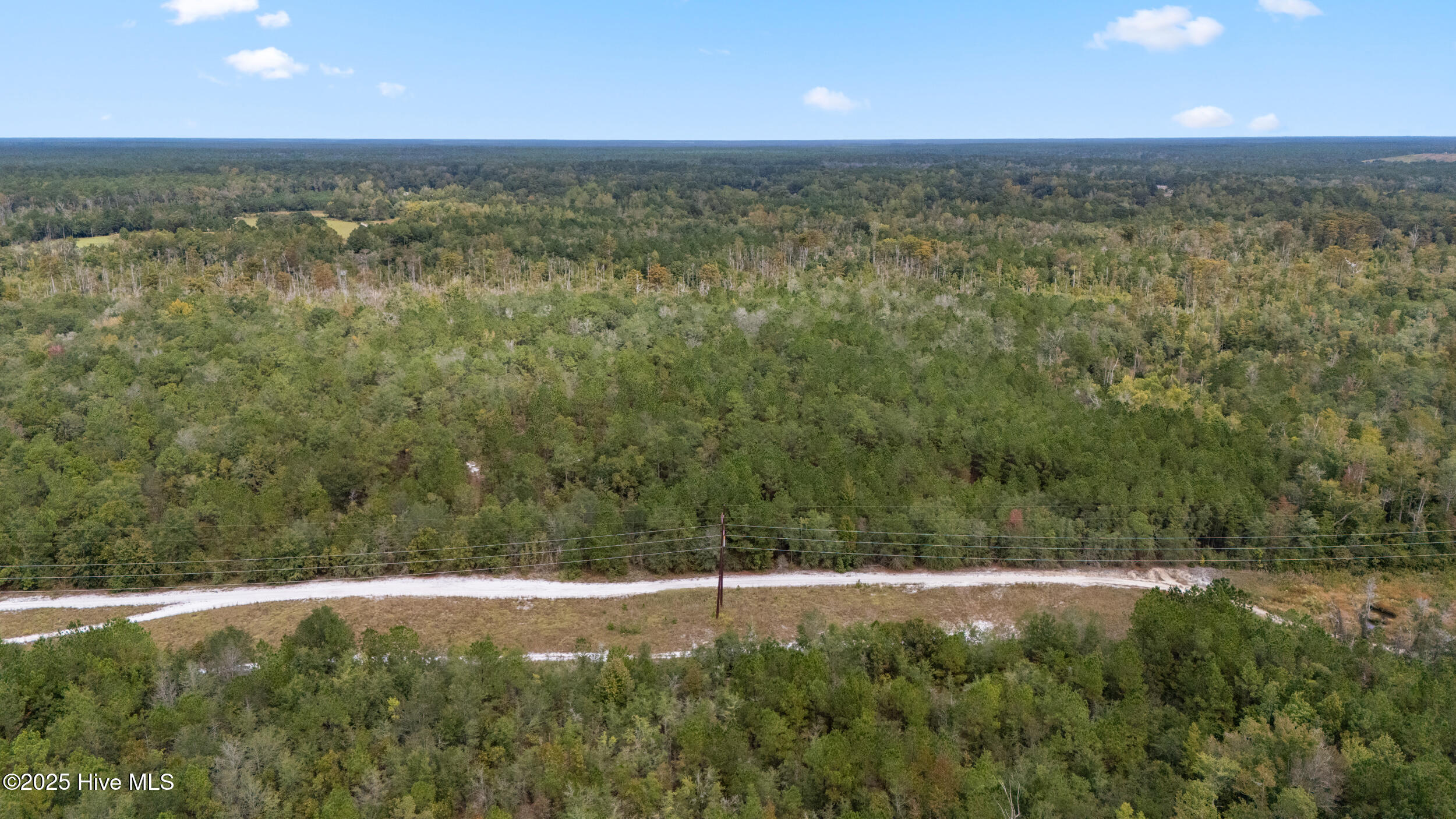 100536371 | Photo 19