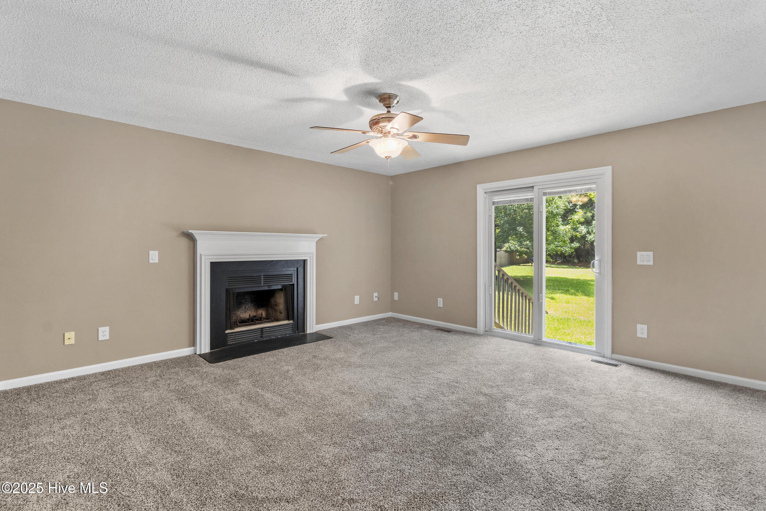 100526469 | Photo 13