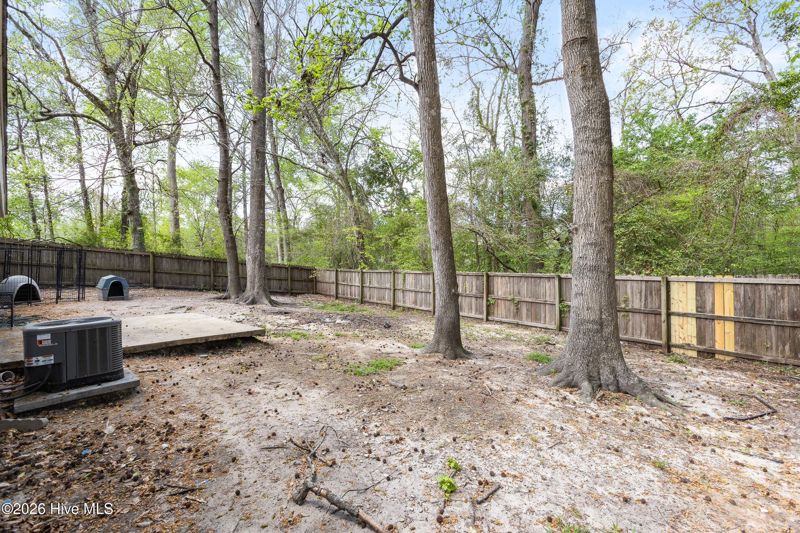 100566968 | Photo 27