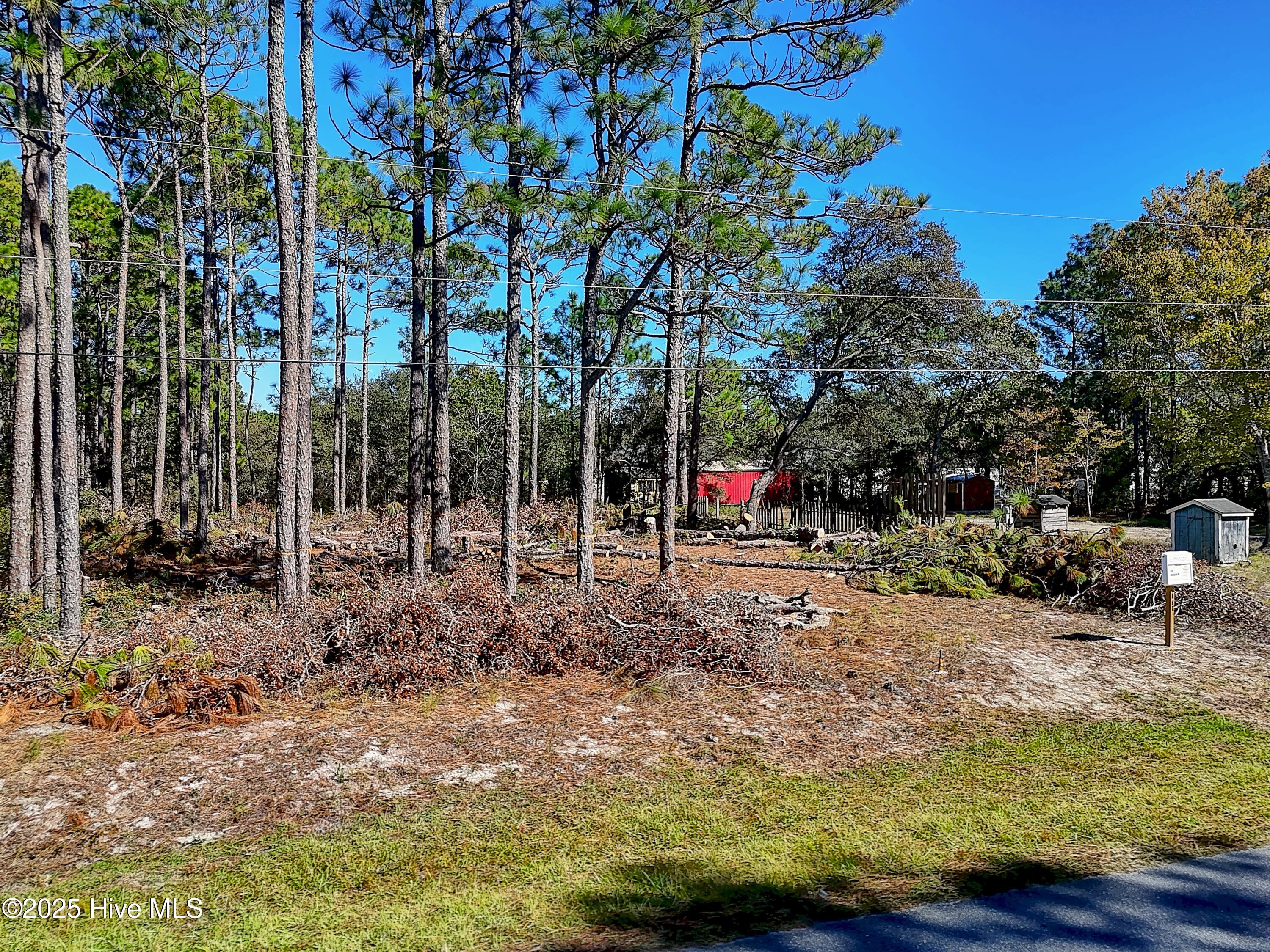 100538717 | Photo 14