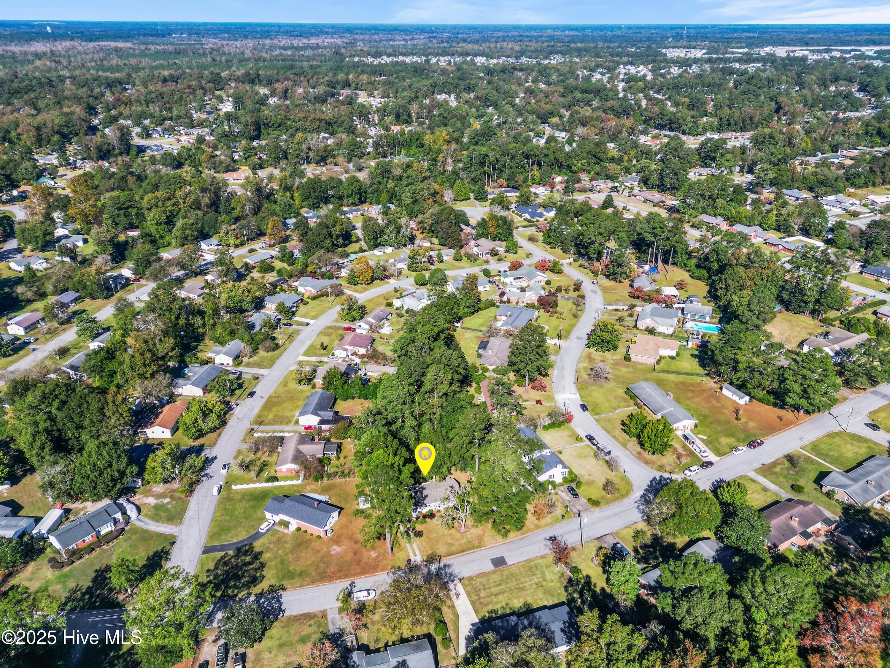 100537321 | Photo 37