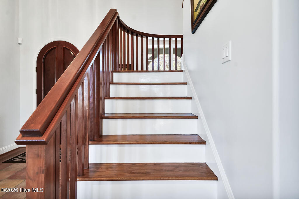 100564190 | Photo 41