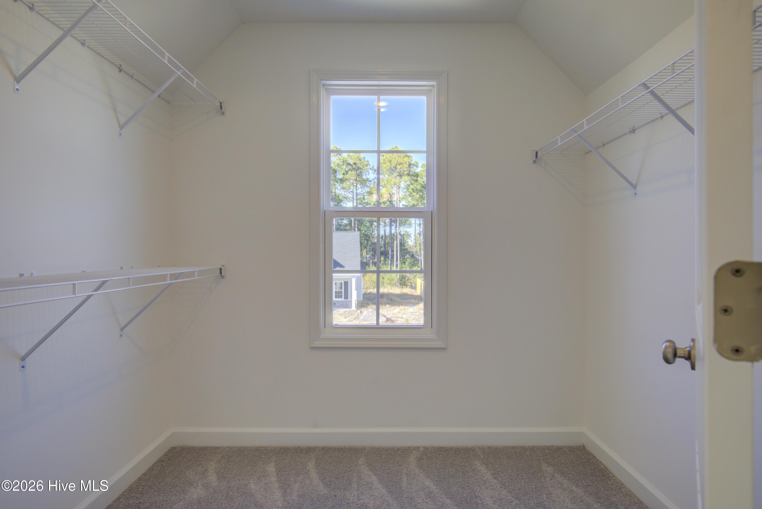 100563069 | Photo 10