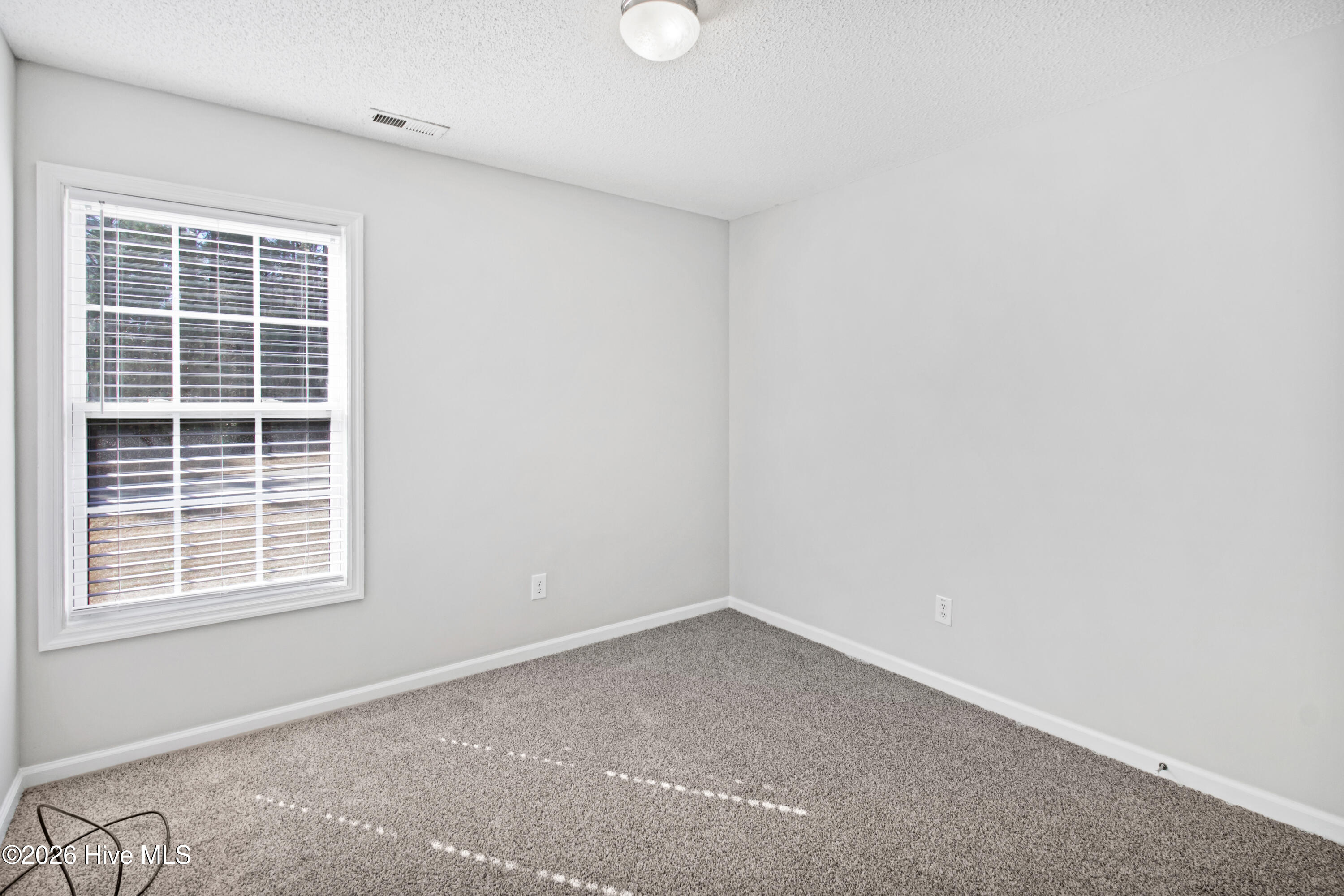 100556649 | Photo 13