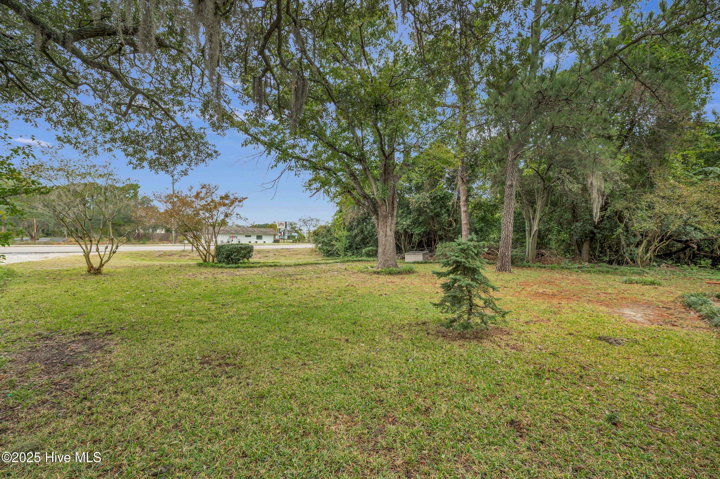 100538812 | Photo 30