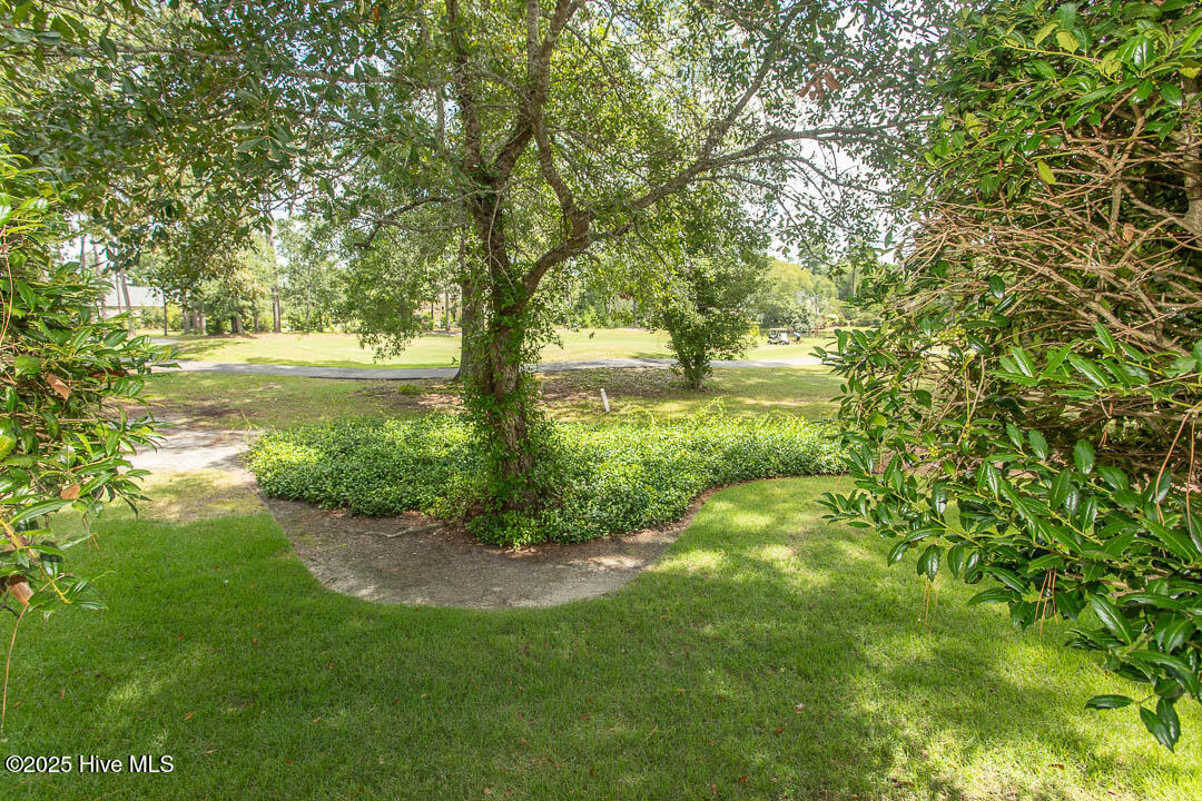 100521008 | Photo 45