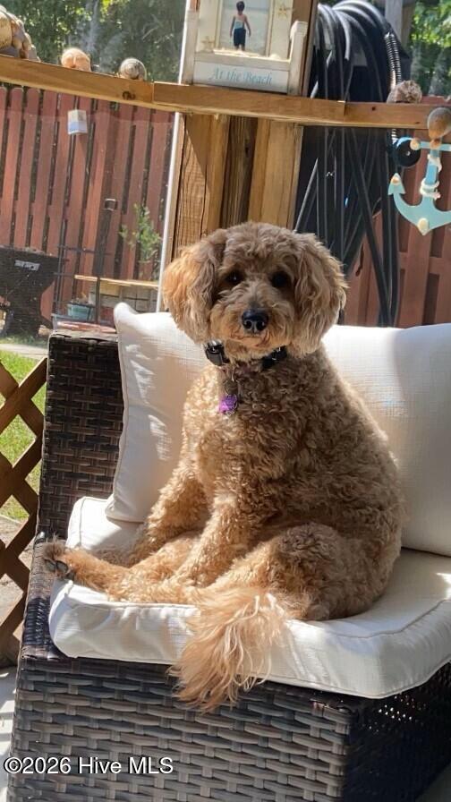 100549183 | Photo 27