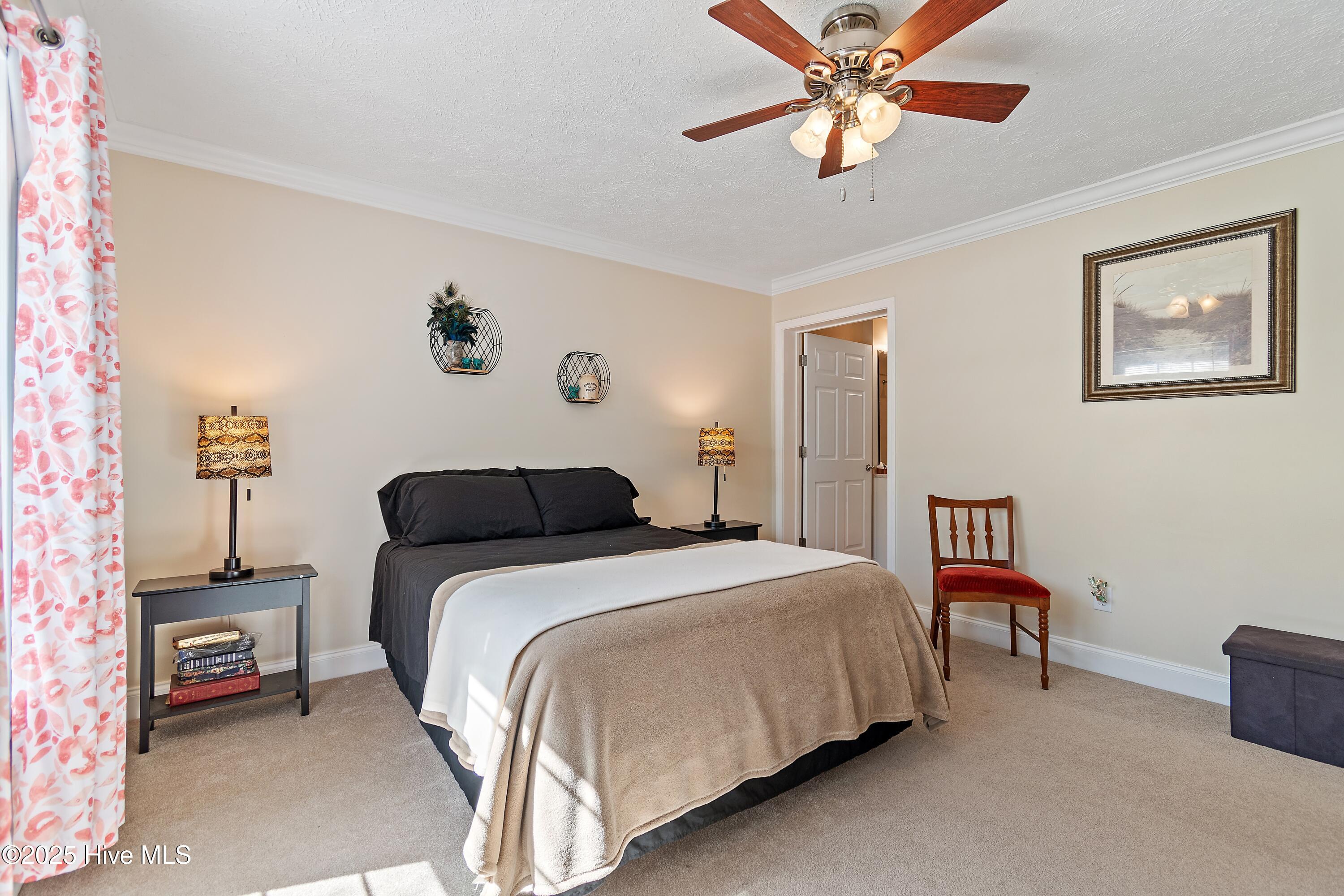 100504365 | Photo 22